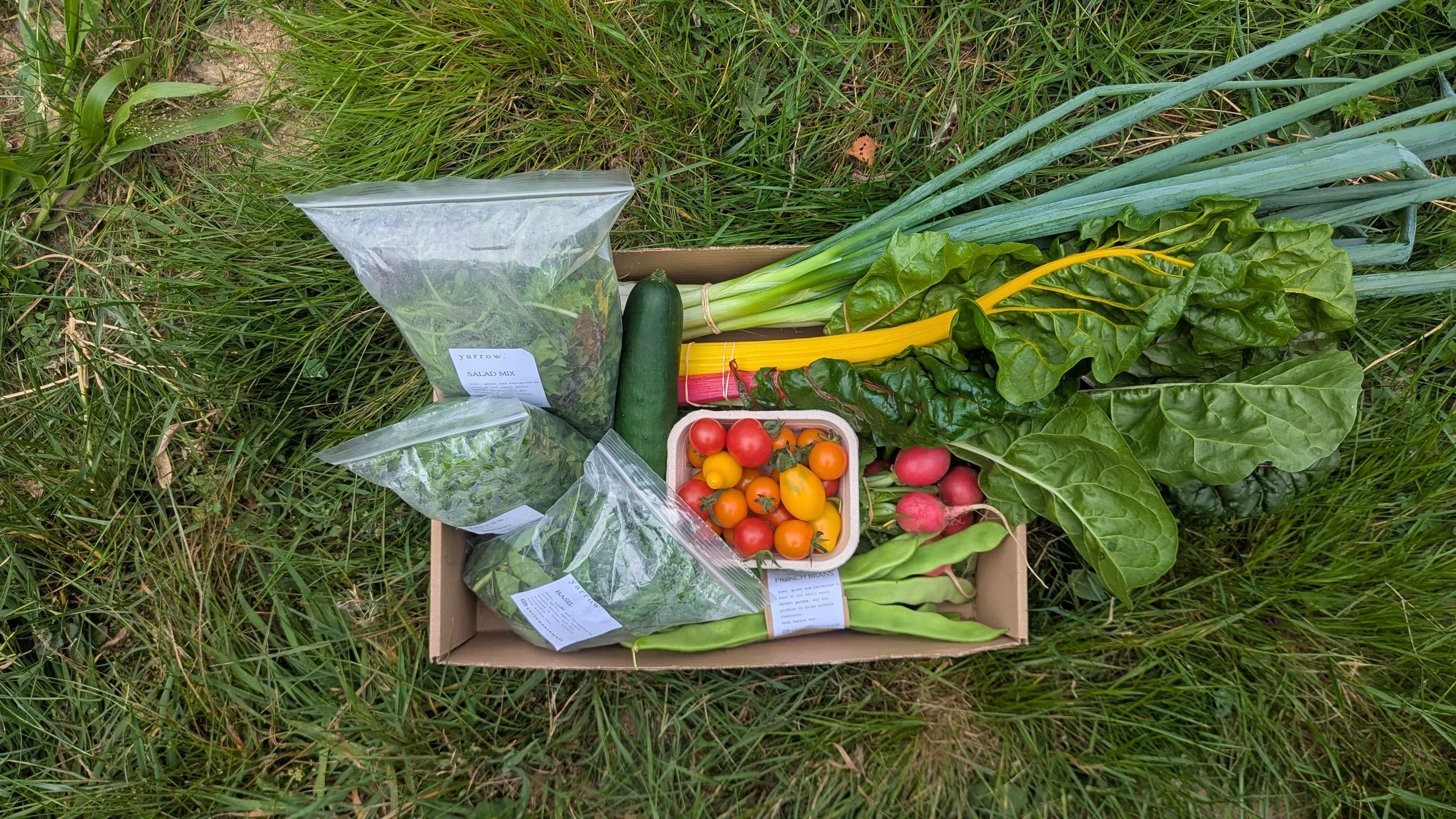 Local Veg Box