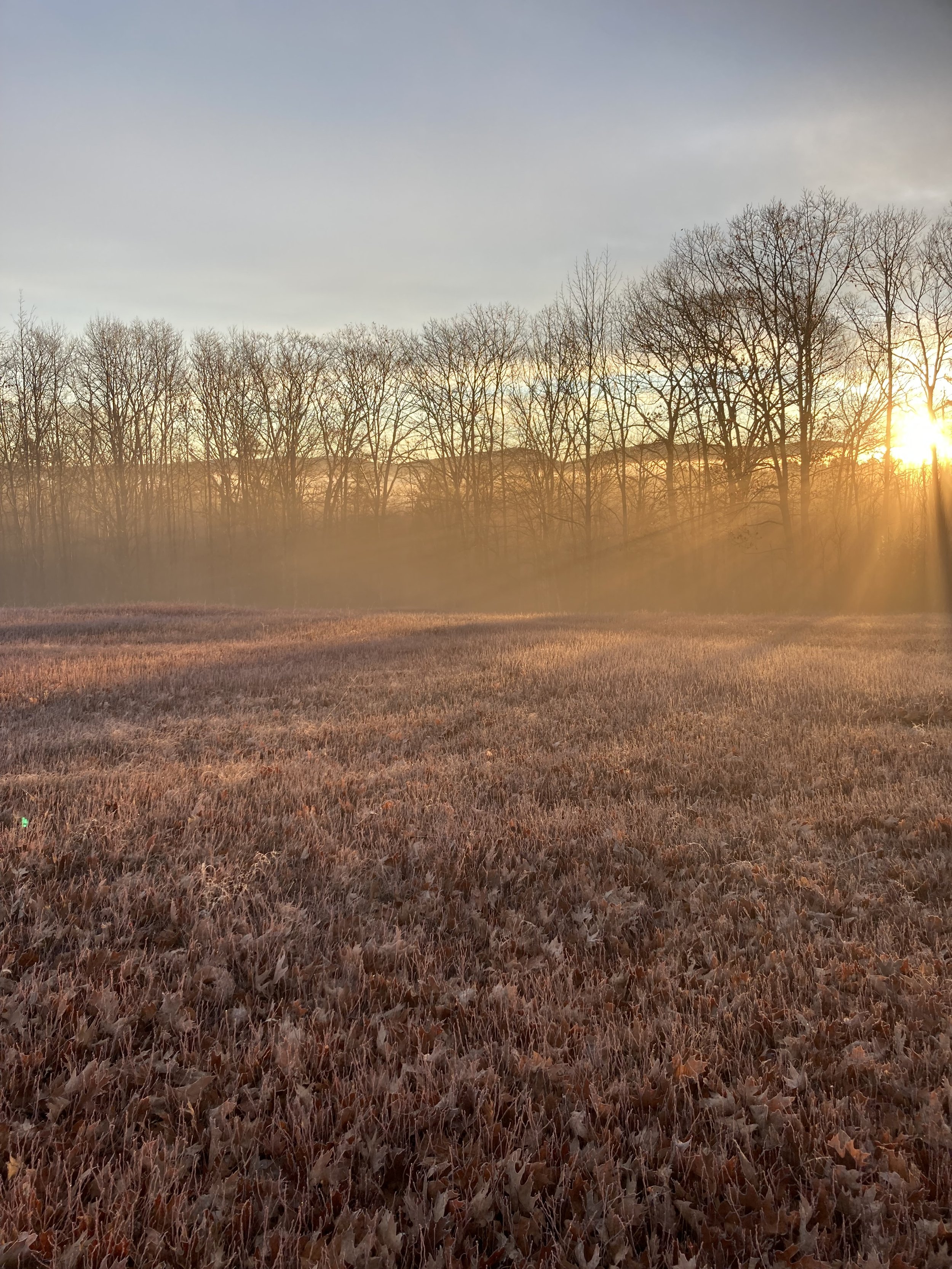 Solstice Reflections