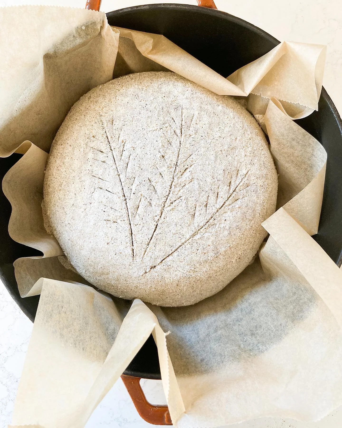 Oat, quinoa and buckwheat sourdough, scored and ready for baking. I&rsquo;ve been making gluten free sourdough for almost two years and it has been life changing to have real, nourishing bread that doesn&rsquo;t fall apart after a decade of being glu