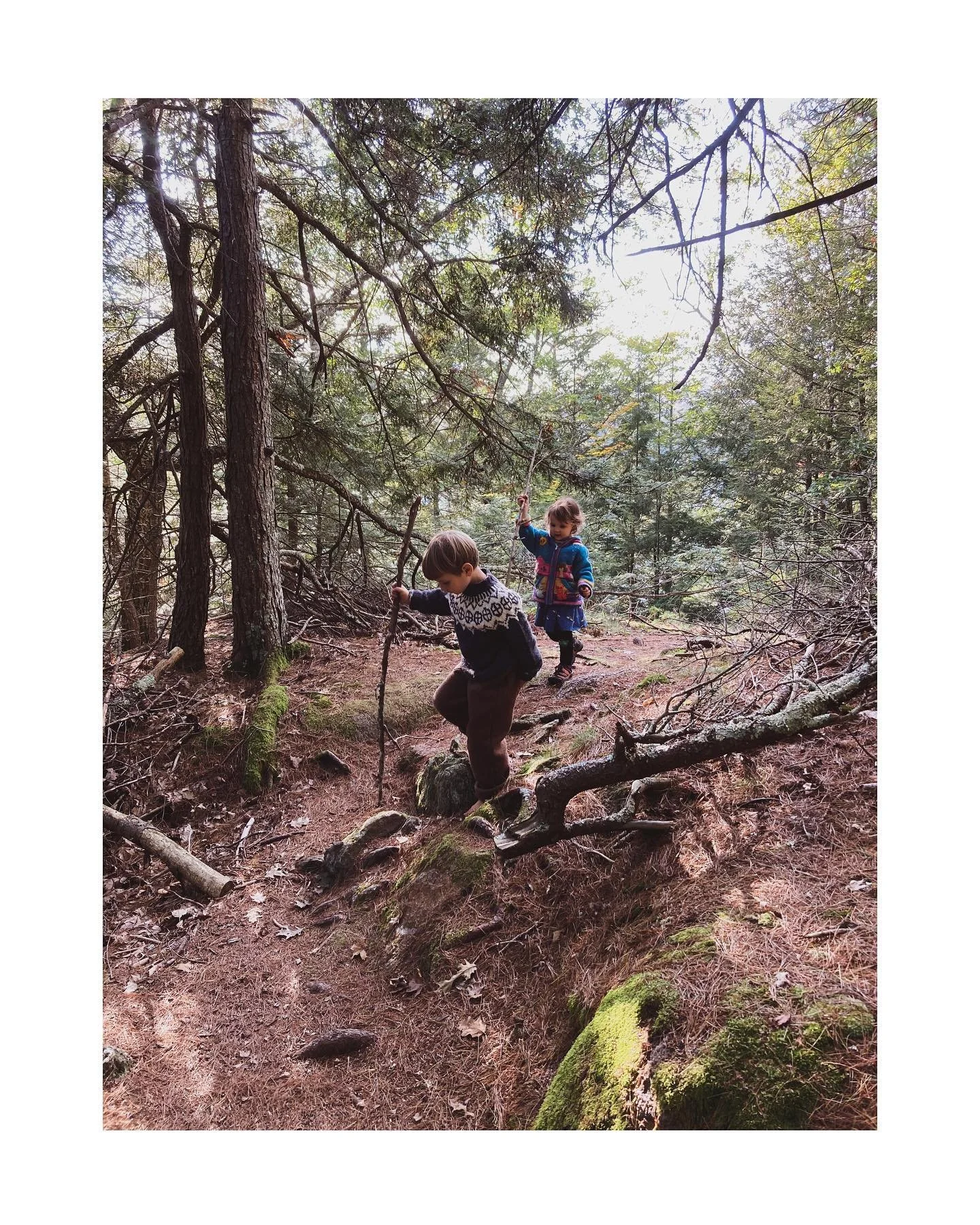 Homeschooling a two and almost five year old mostly looks like this right now.  I really don&rsquo;t know what I&rsquo;m doing yet, but I can&rsquo;t think of a better place to learn about the world than by just being outside. Today we saw three deer