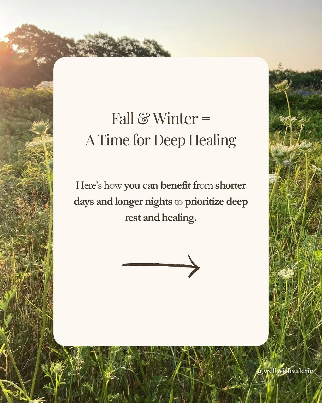 Here are some simple shifts you can take to have an amazing fall and winter:
❆ first and foremost: our belief that we can heal and thrive in any season is paramount. The body follows the mind. ♡
❆ see the sunrise, every day, no matter the weather.