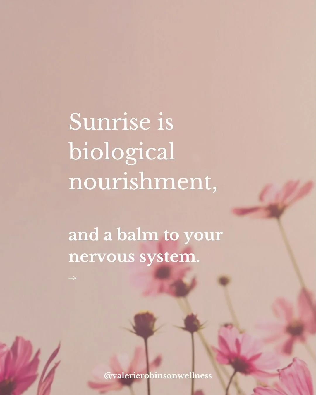 Morning light is medicine. ✨
When we give our bodies clear, consistent signals, our nervous system receives the message of safety and predictability.
Sunrise, and the wavelengths of light that appear within the first couple of hours of daylight:
-