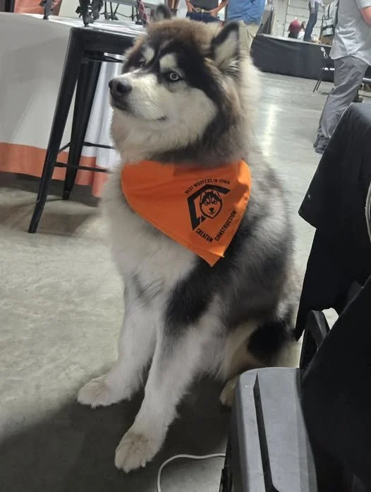 RoofingTogo.jpg