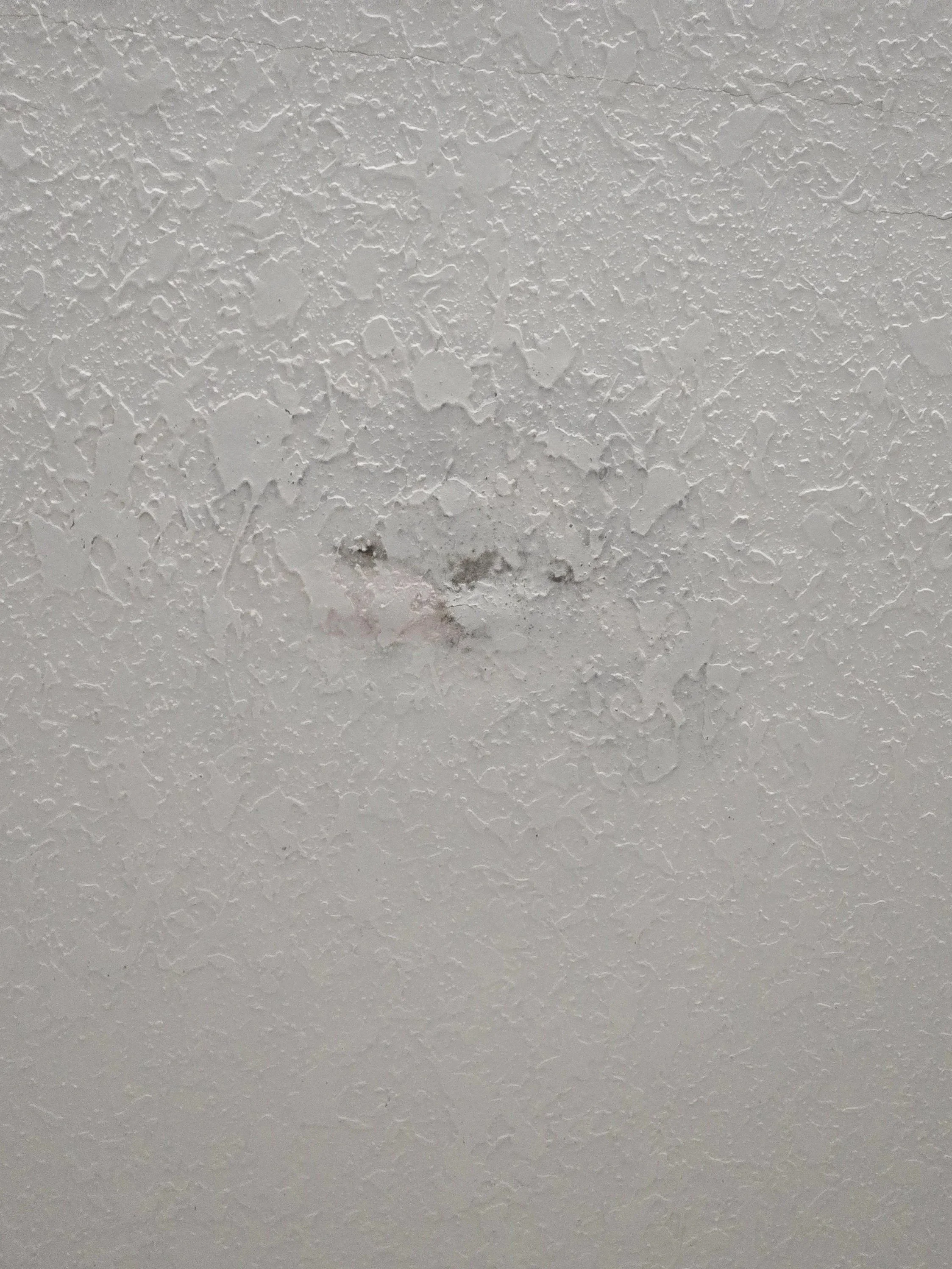 water leak in ceiling hamilton Montana