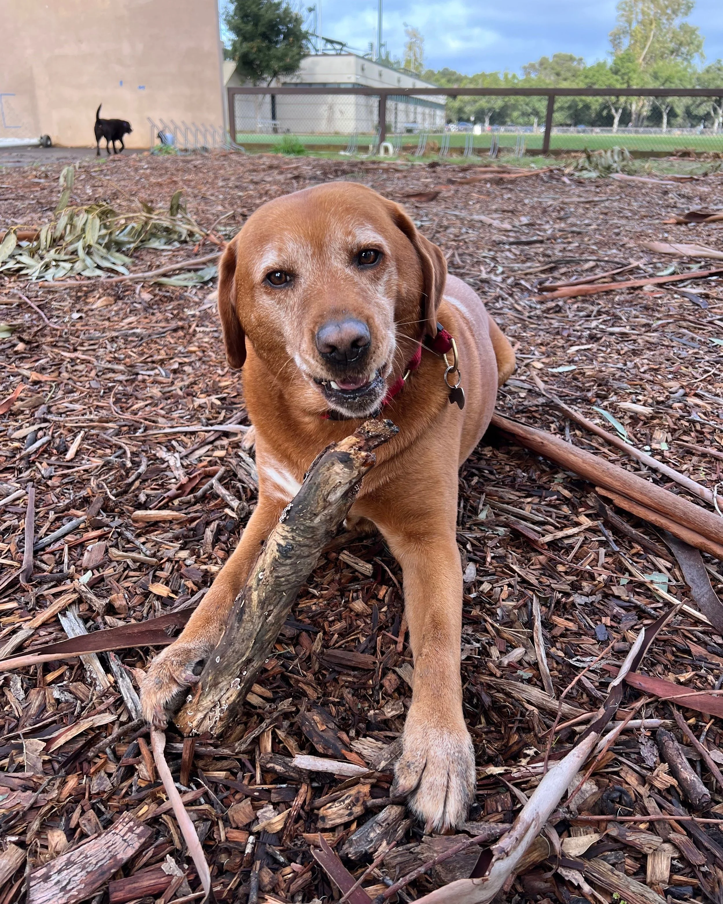 Milton Stick Seated.jpg