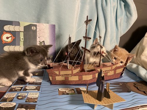 kittens+attacking+ship.jpeg