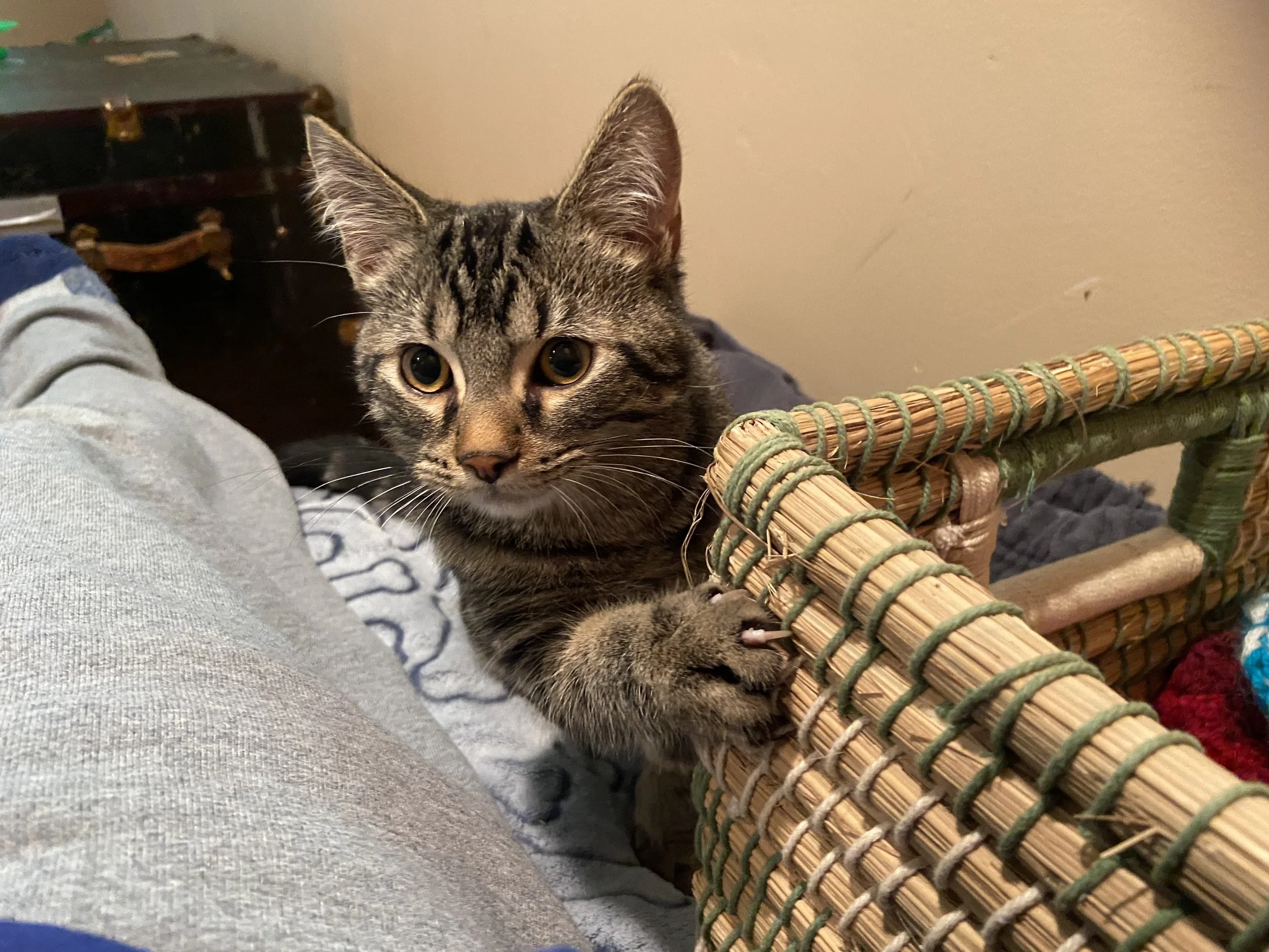 Mark Twain ggffhhh.jpeg