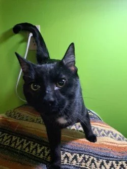 7b9b1214-77a9-4da8-a562-e0459e7e6352 (1).jpg