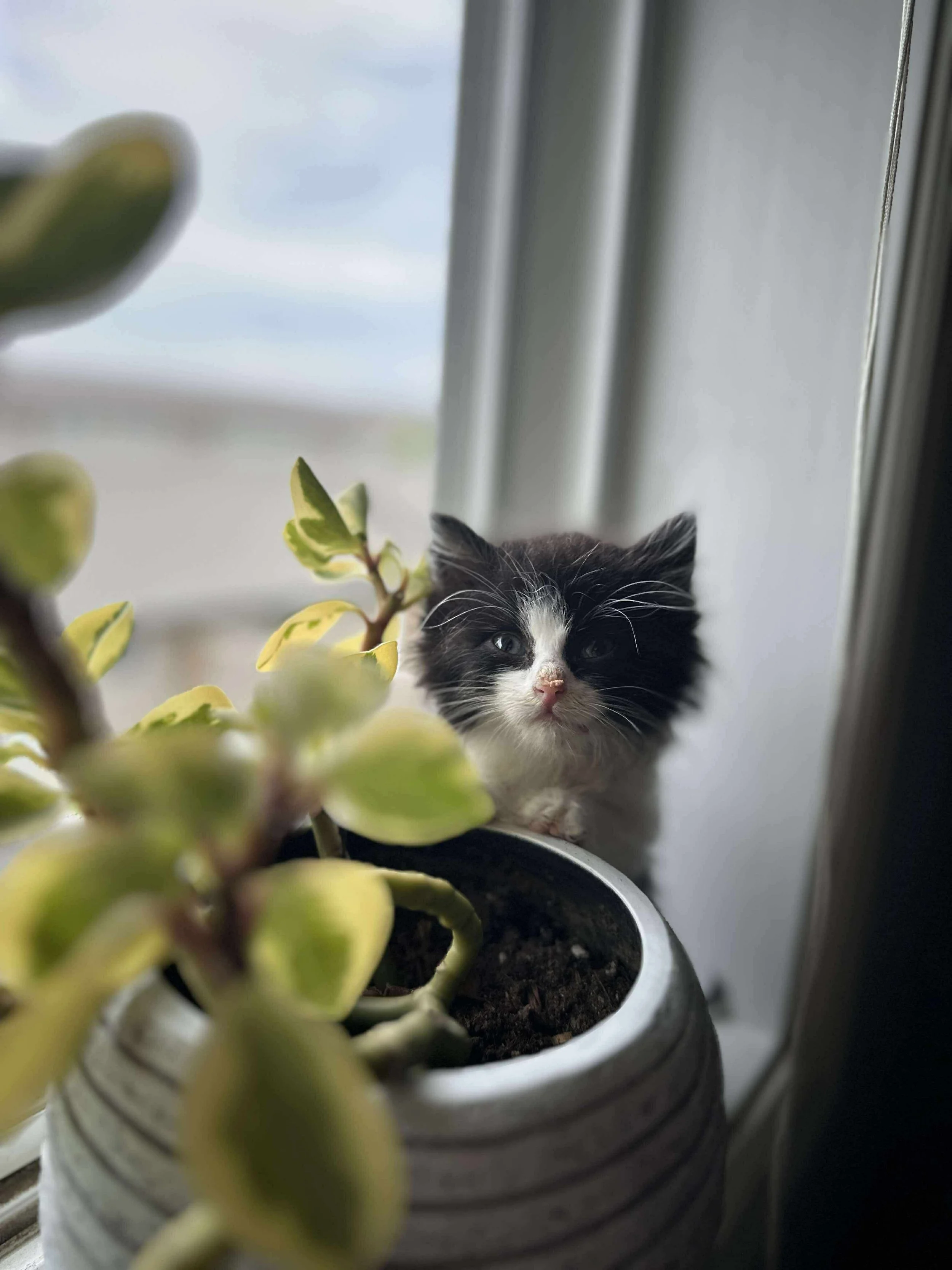 IMG_8303.jpeg