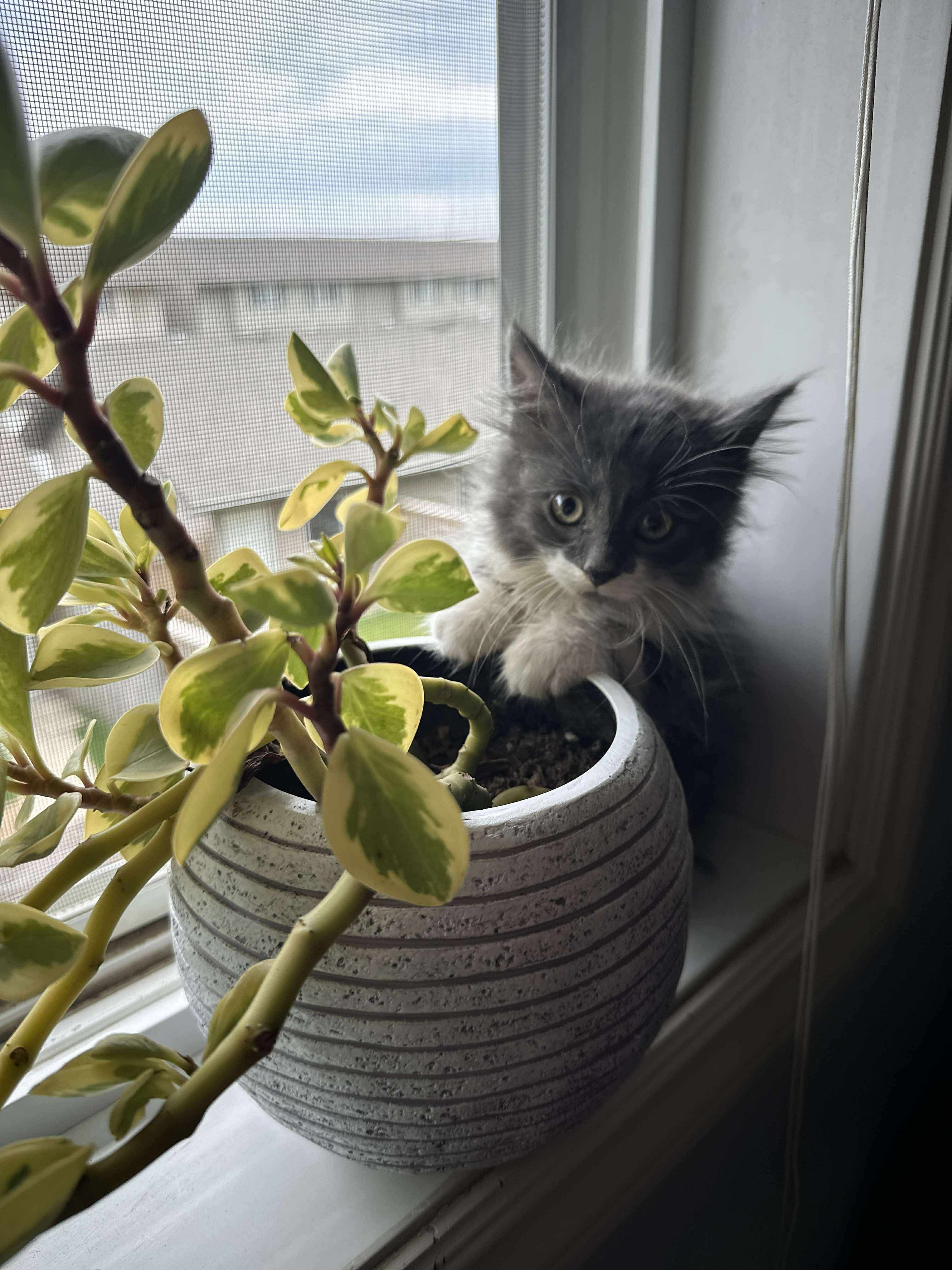 IMG_8307.jpeg