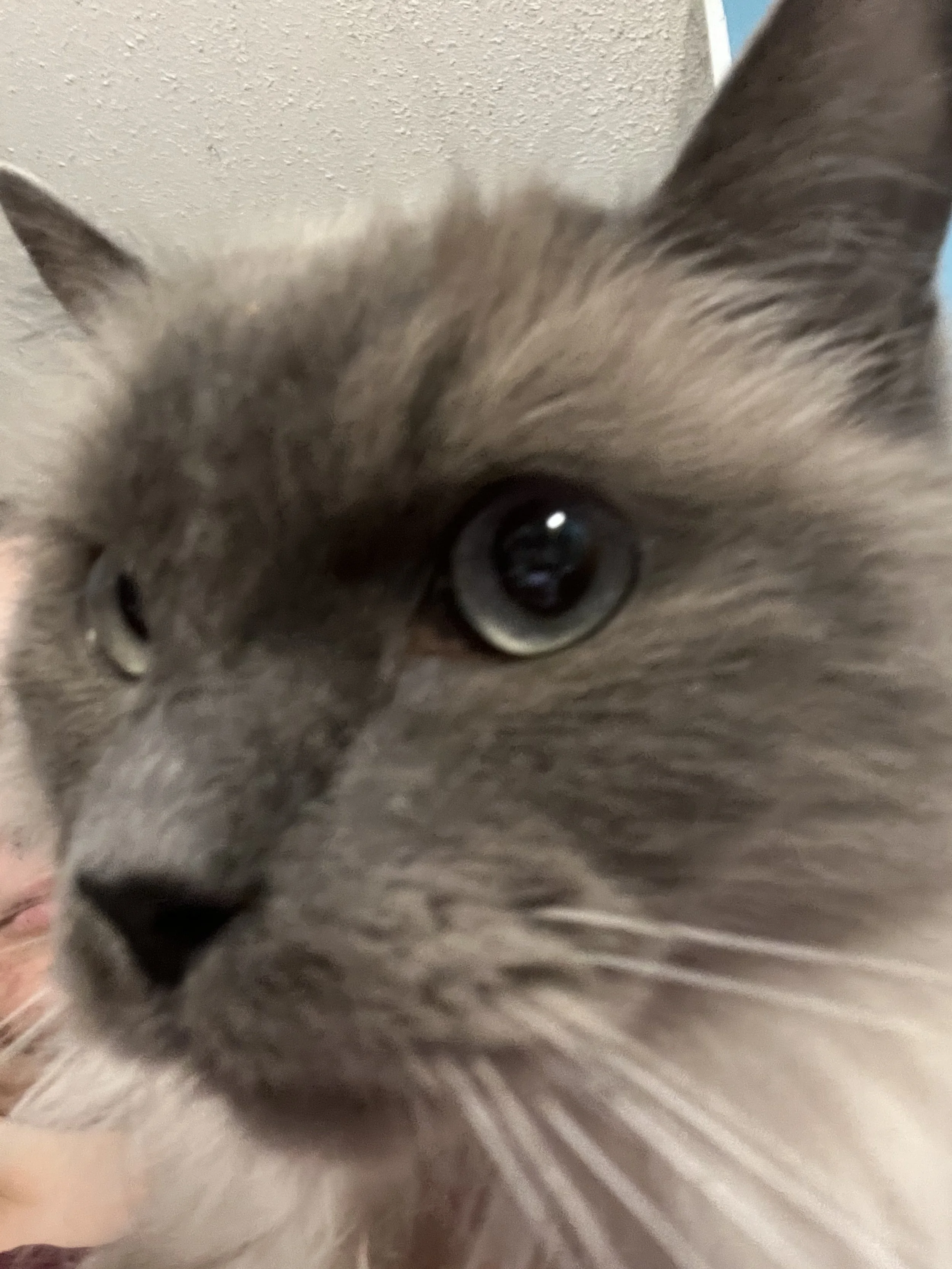 IMG_3744.jpeg