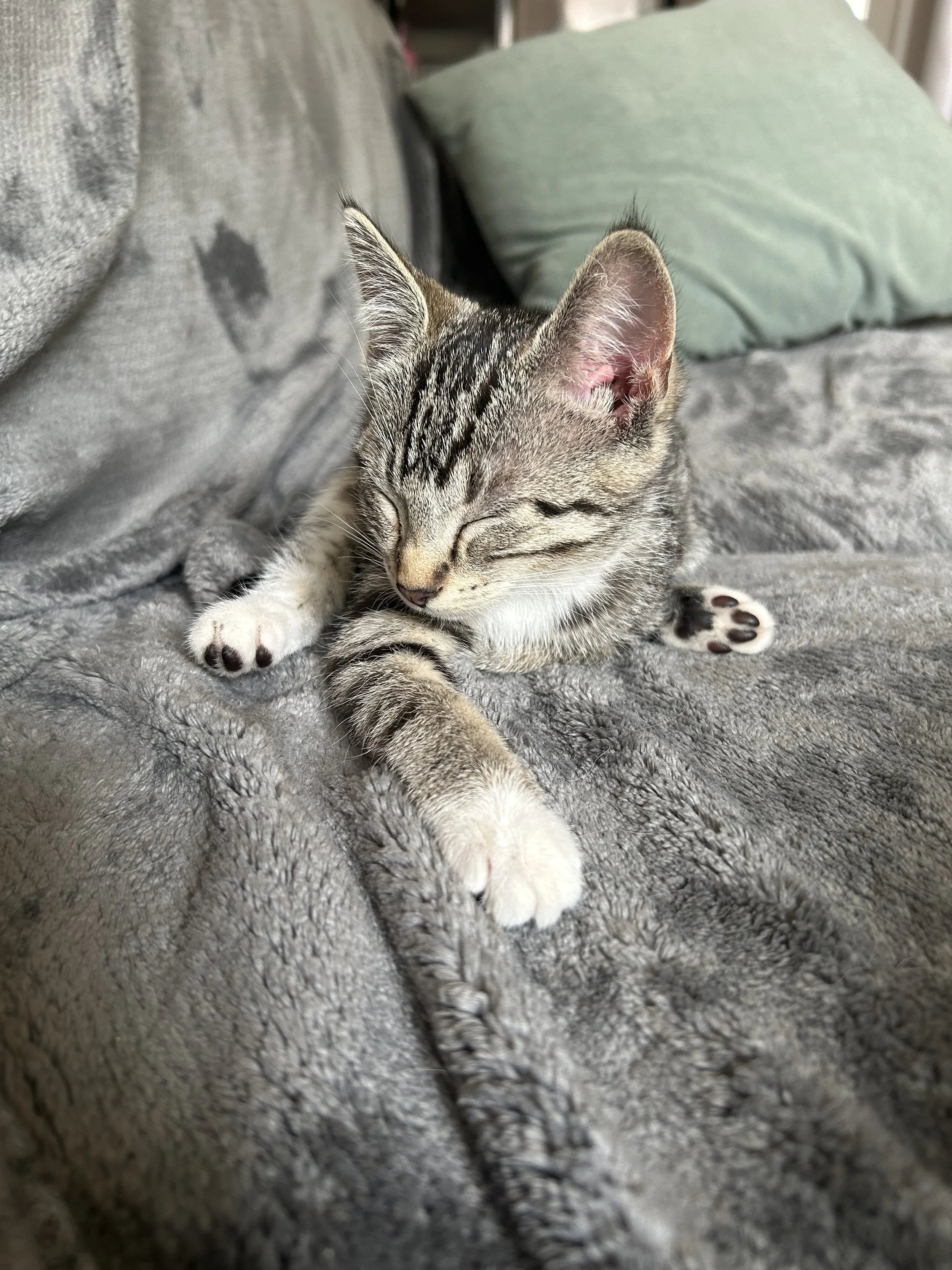 IMG_3254.jpeg