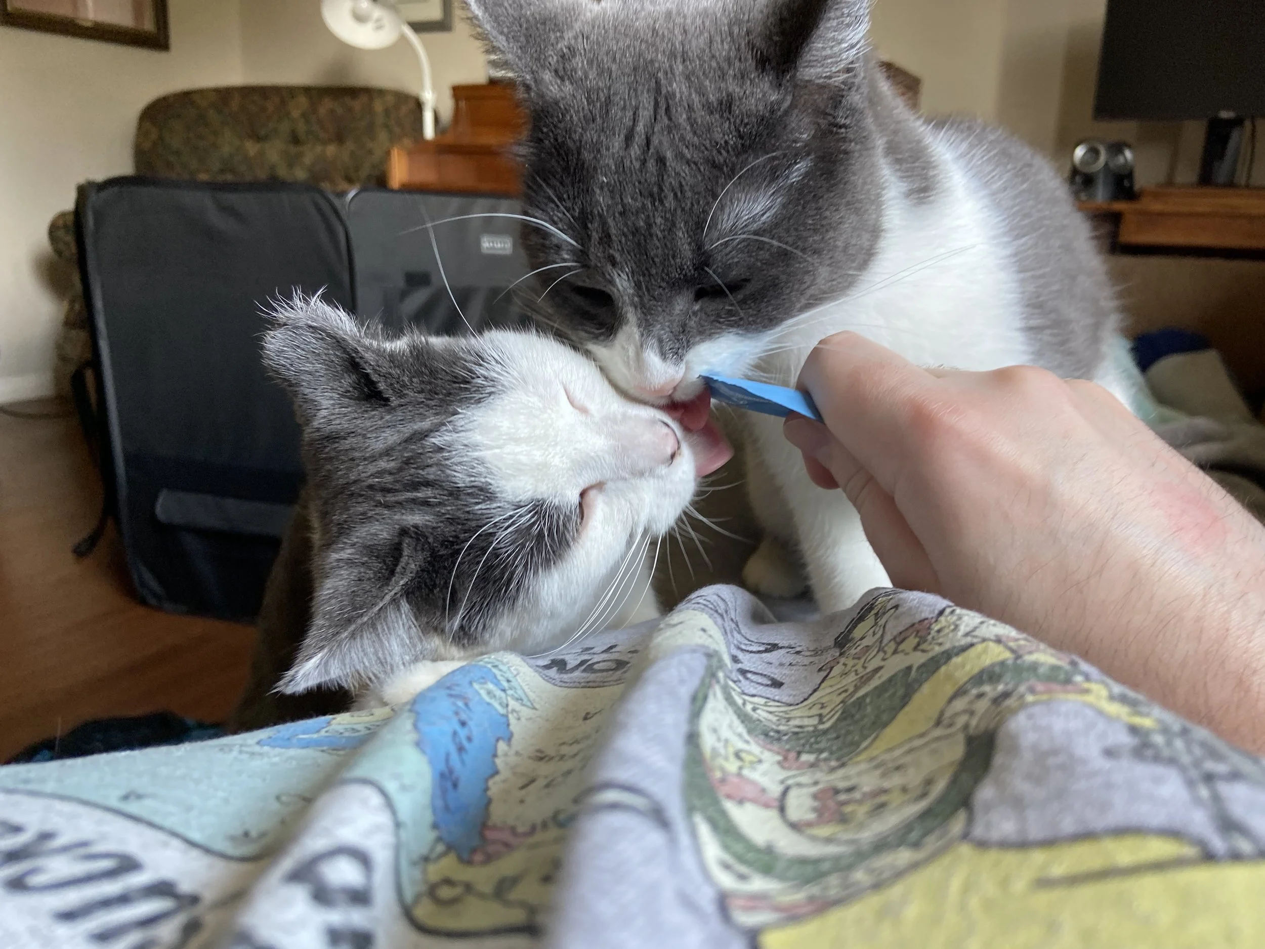 Sylvia and Atwood getting a treat.jpeg