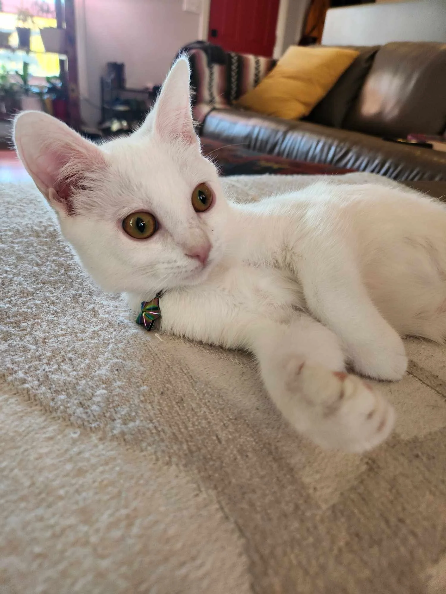 JJ — SOS Prairie Rescue