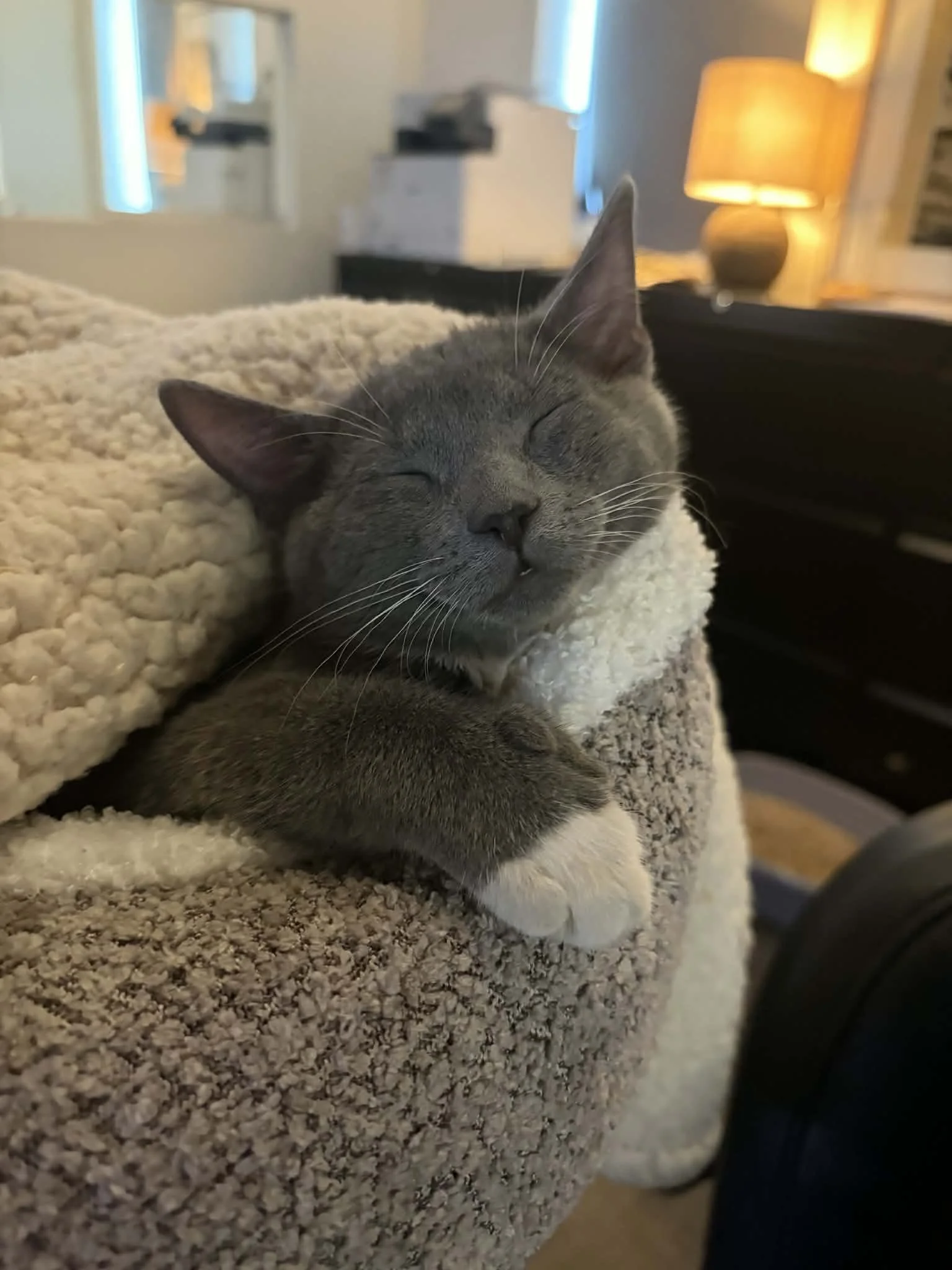 ec2c4acb-cc4d-44c7-913d-4c244a822caf (1).jpeg