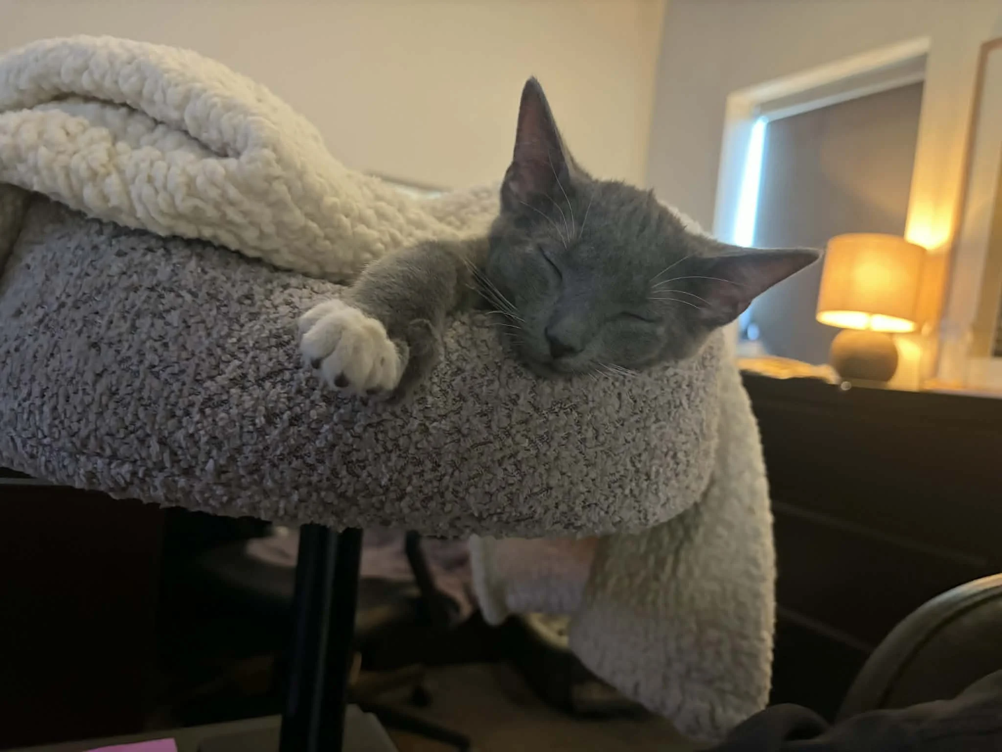 b53daf15-ab47-4e1d-8bba-03b693aac6bb (1).jpeg