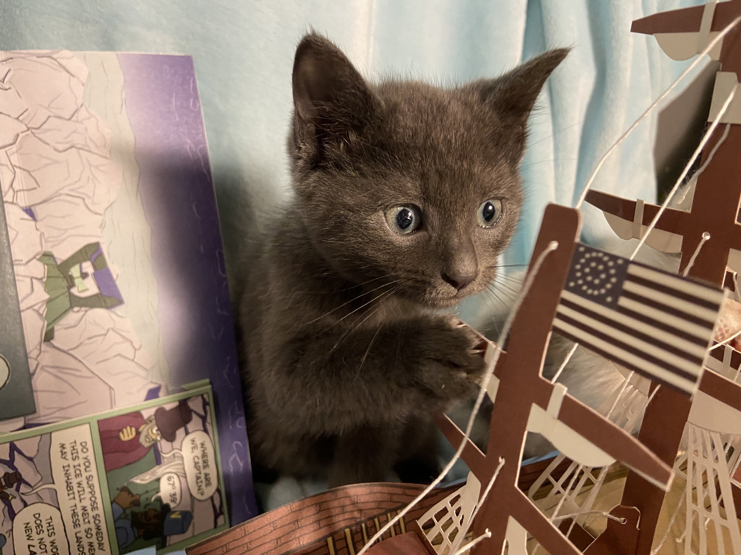Bogart attacking ship.jpeg