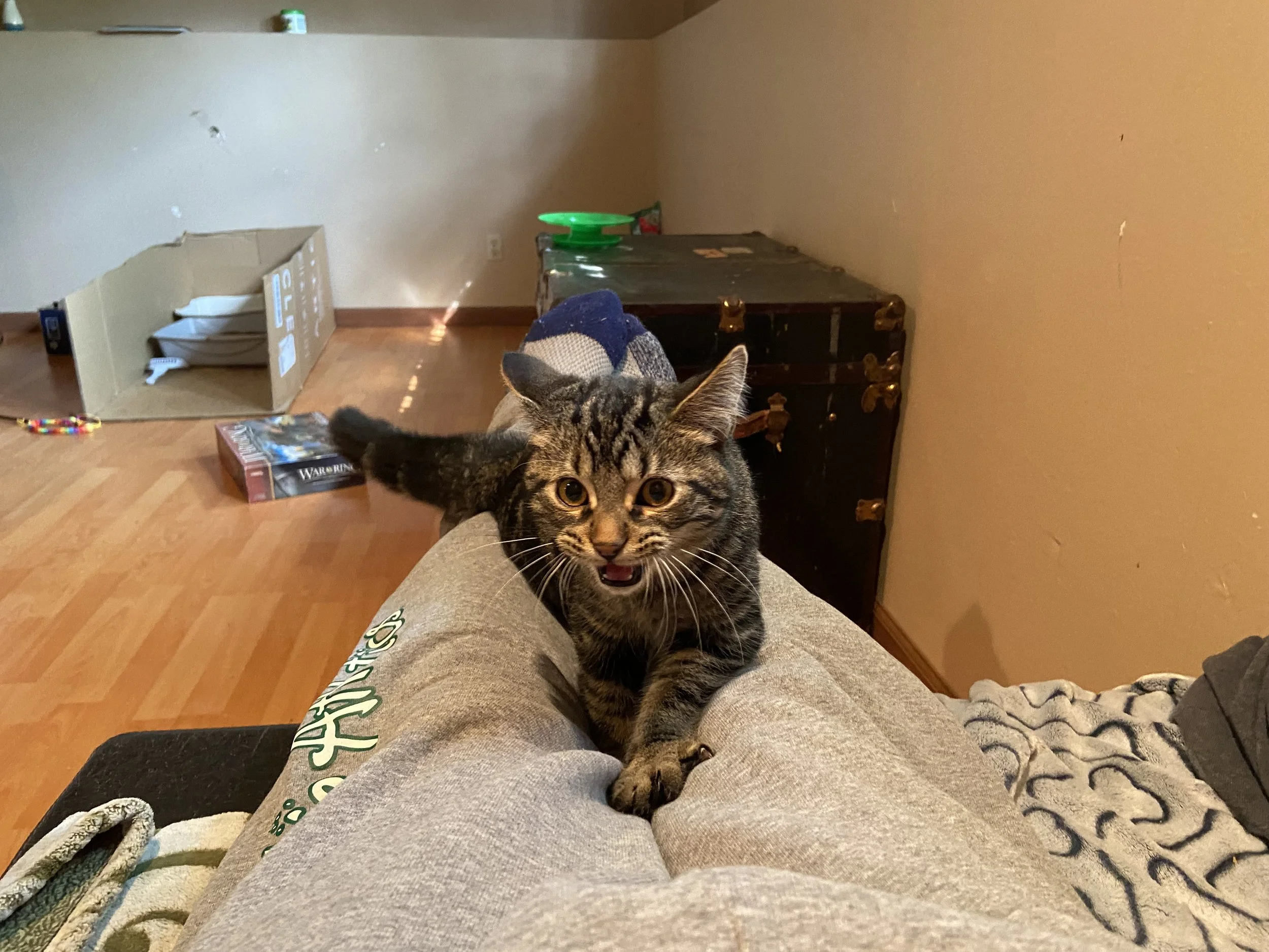 Mark Twain thhh.jpeg