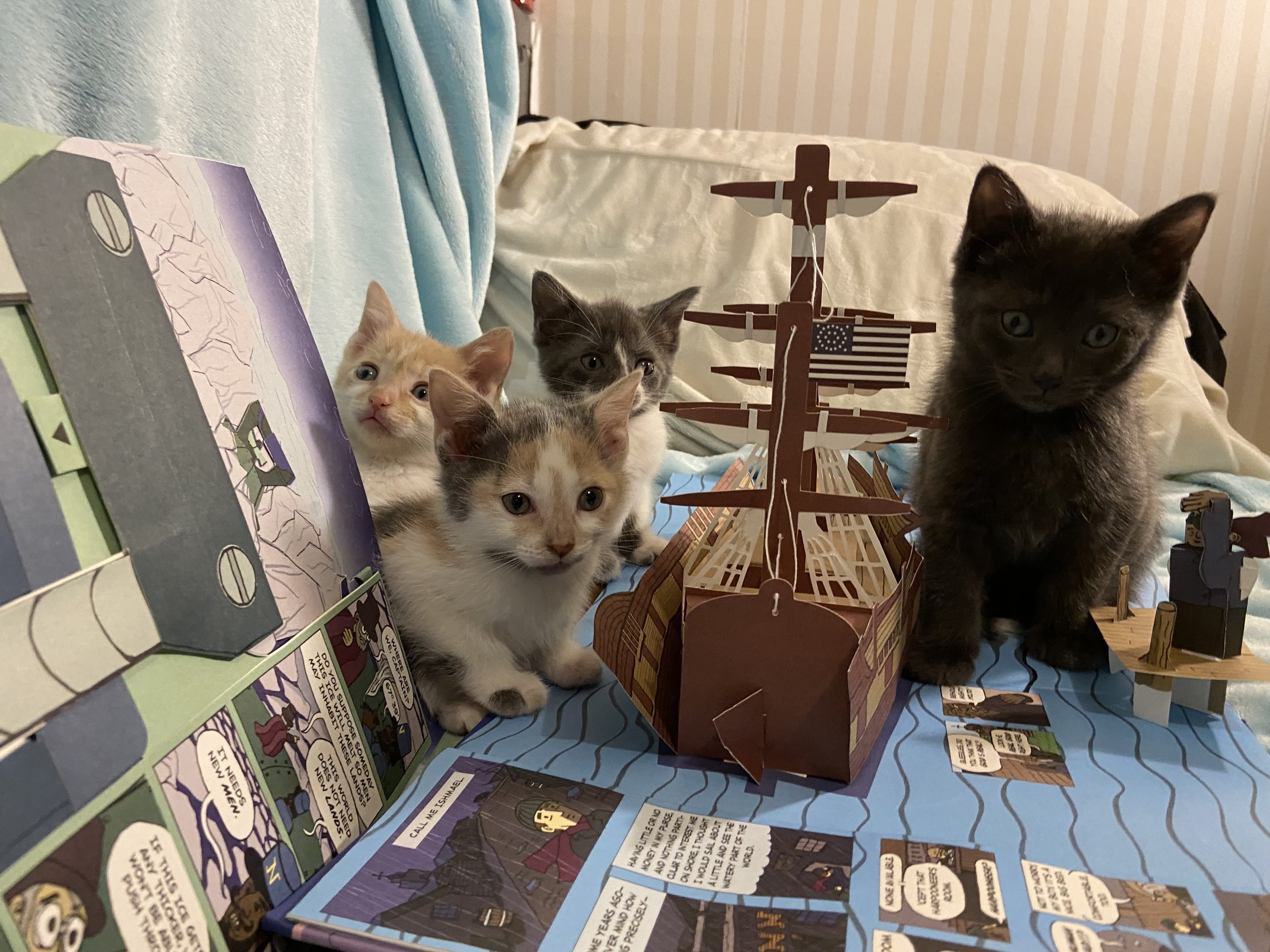 kittens with ship.jpeg