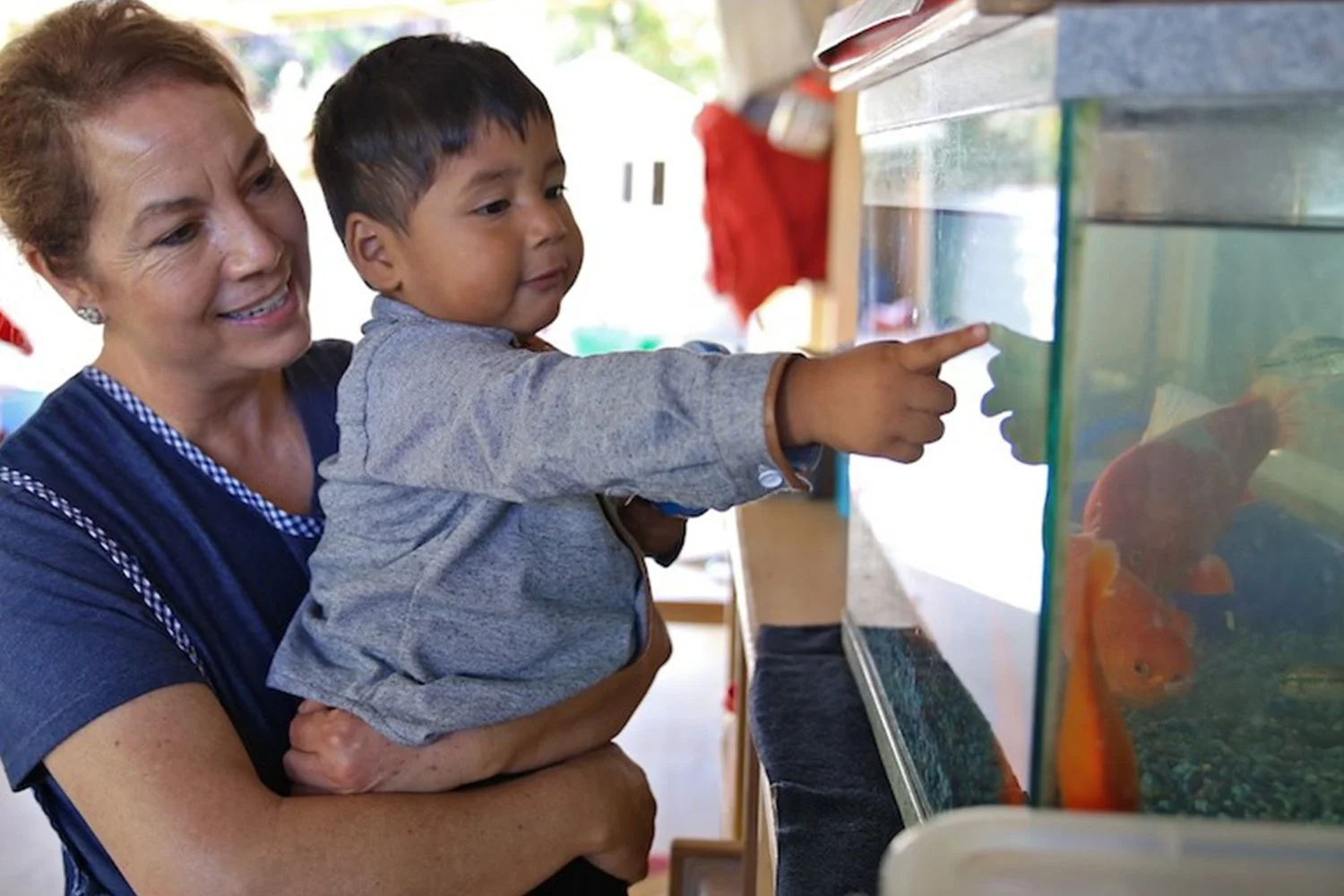  smling latinx child care provider embraces a little boy who is pointing and looking at aquarium with fish 