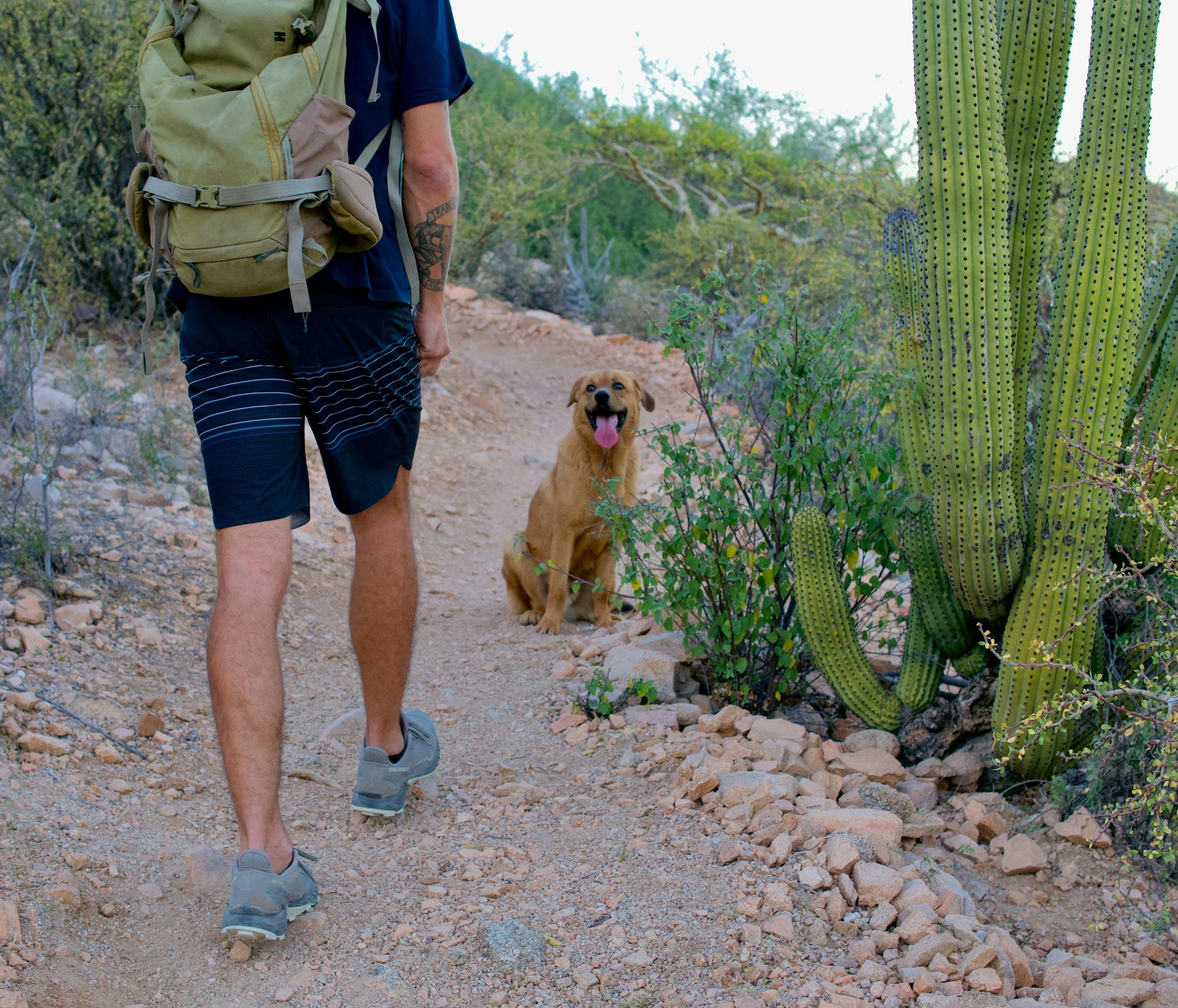 5 Best Desert Hiking Trails in Lake Havasu, Arizona