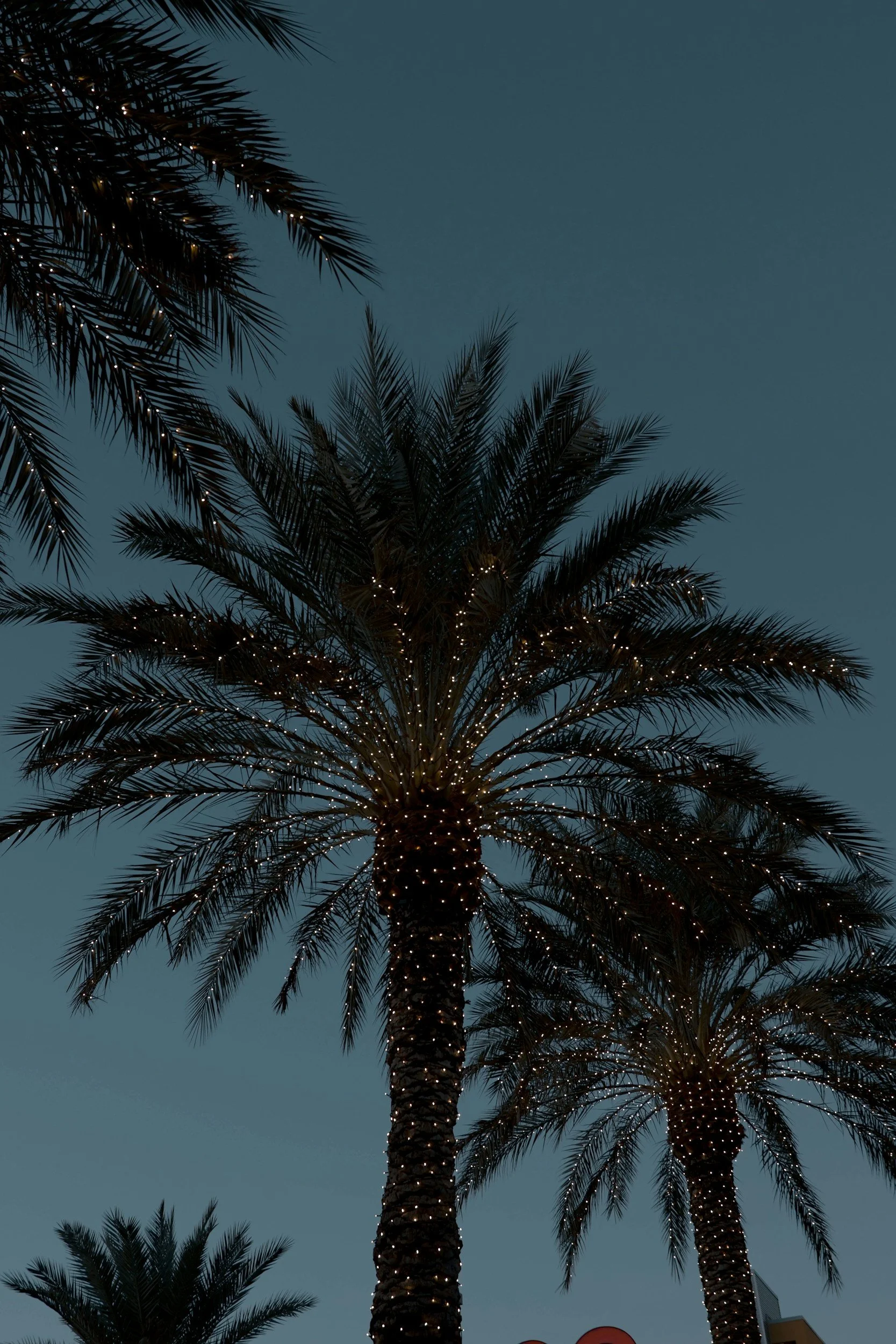 The Ultimate Guide to Making Holiday Magic in Lake Havasu