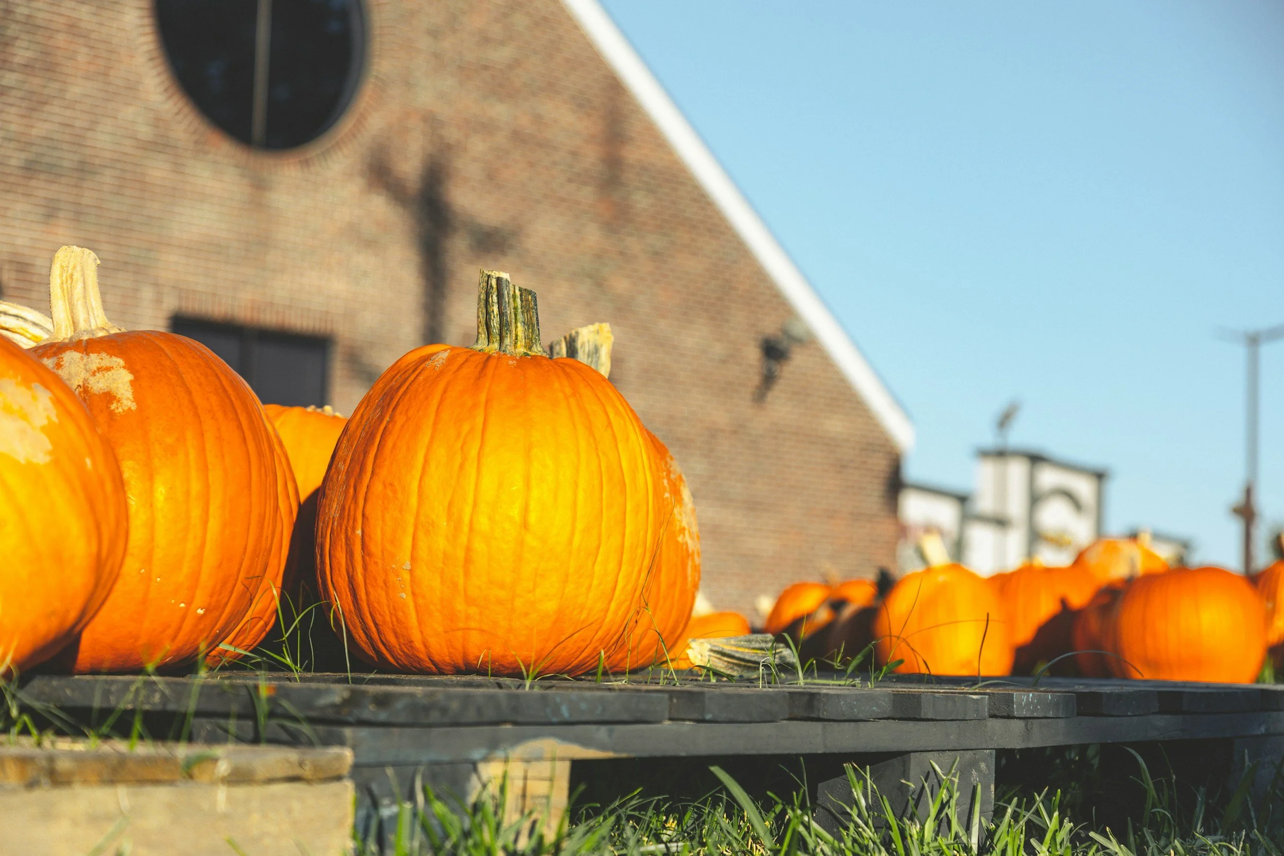 A pallet of pumpkins in the fall sunshine at a farmer's market