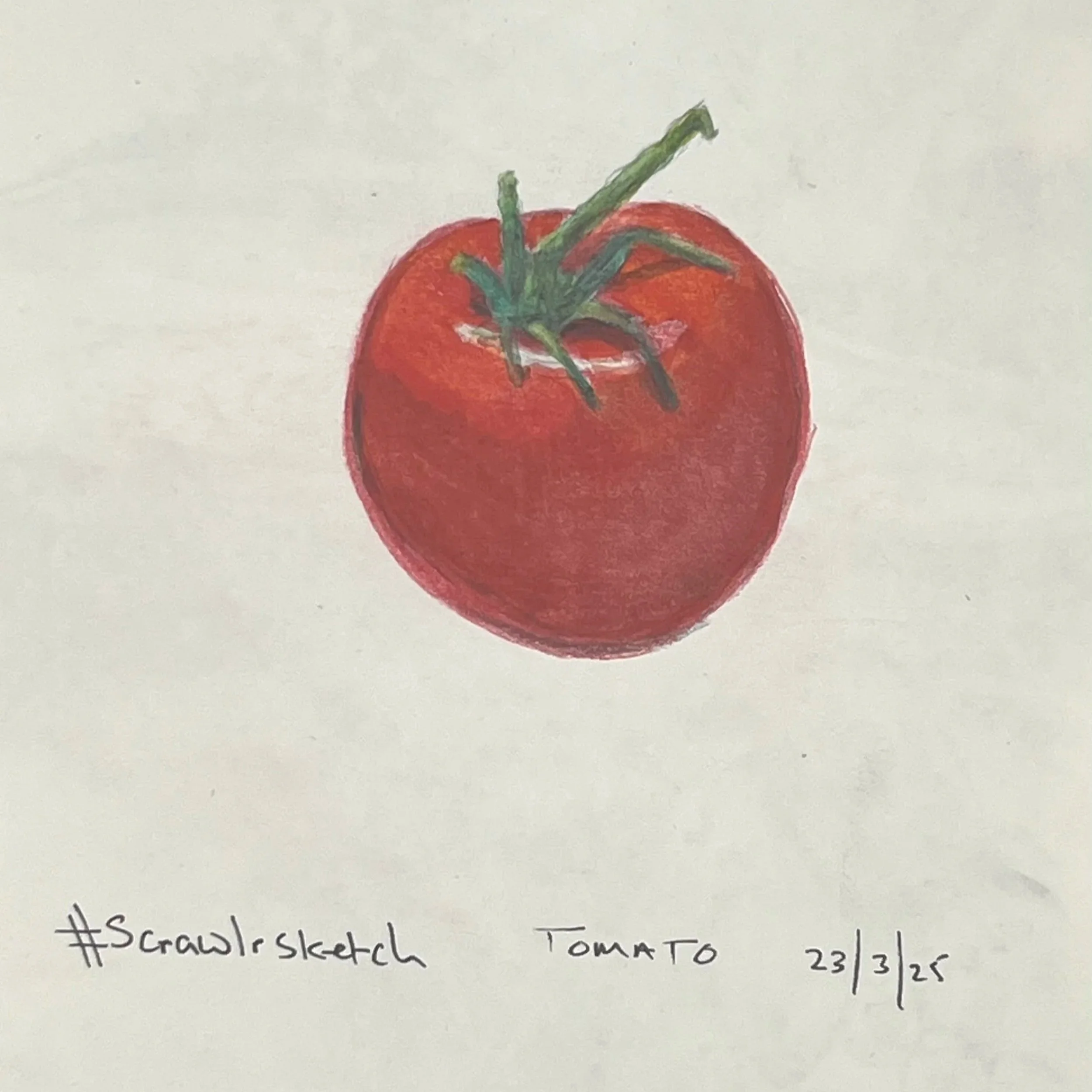 "Tomato". Watercolour and coloured pencil. Drawn from life reference. Sketchbook painting. 