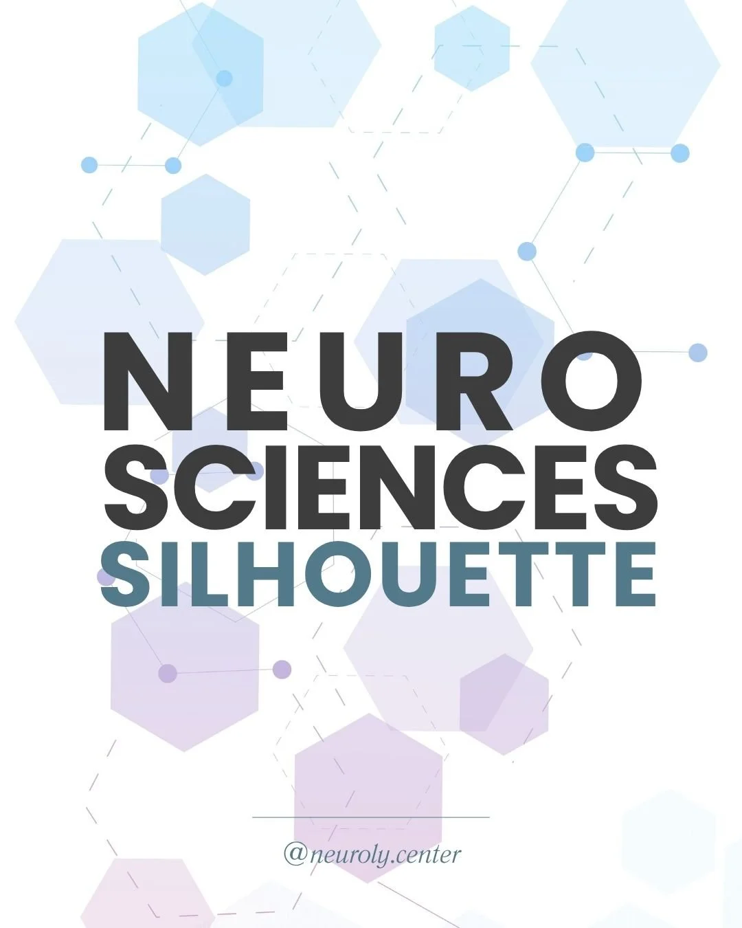NeuroSilhouette