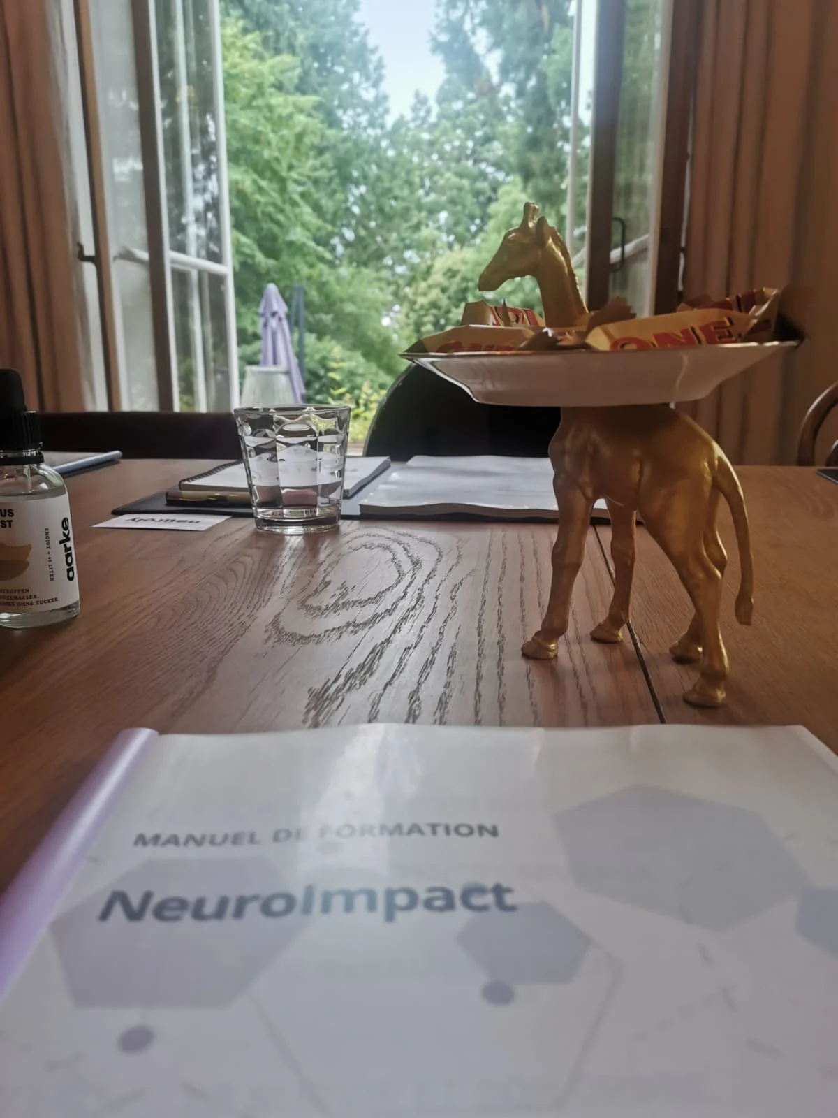 NeuroImpact
