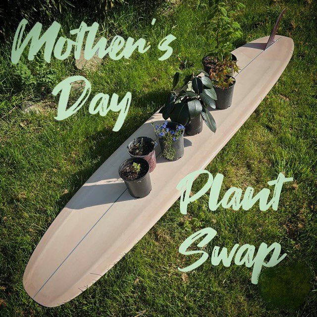 That&rsquo;s right, we&rsquo;ll be hosting a plant swap on Mother&rsquo;s Day!! So, if you&rsquo;re looking for more plants bring your wallet (and your mom). Or, if you&rsquo;re like us and buried in plants bring your extra house plants, flowers, lan