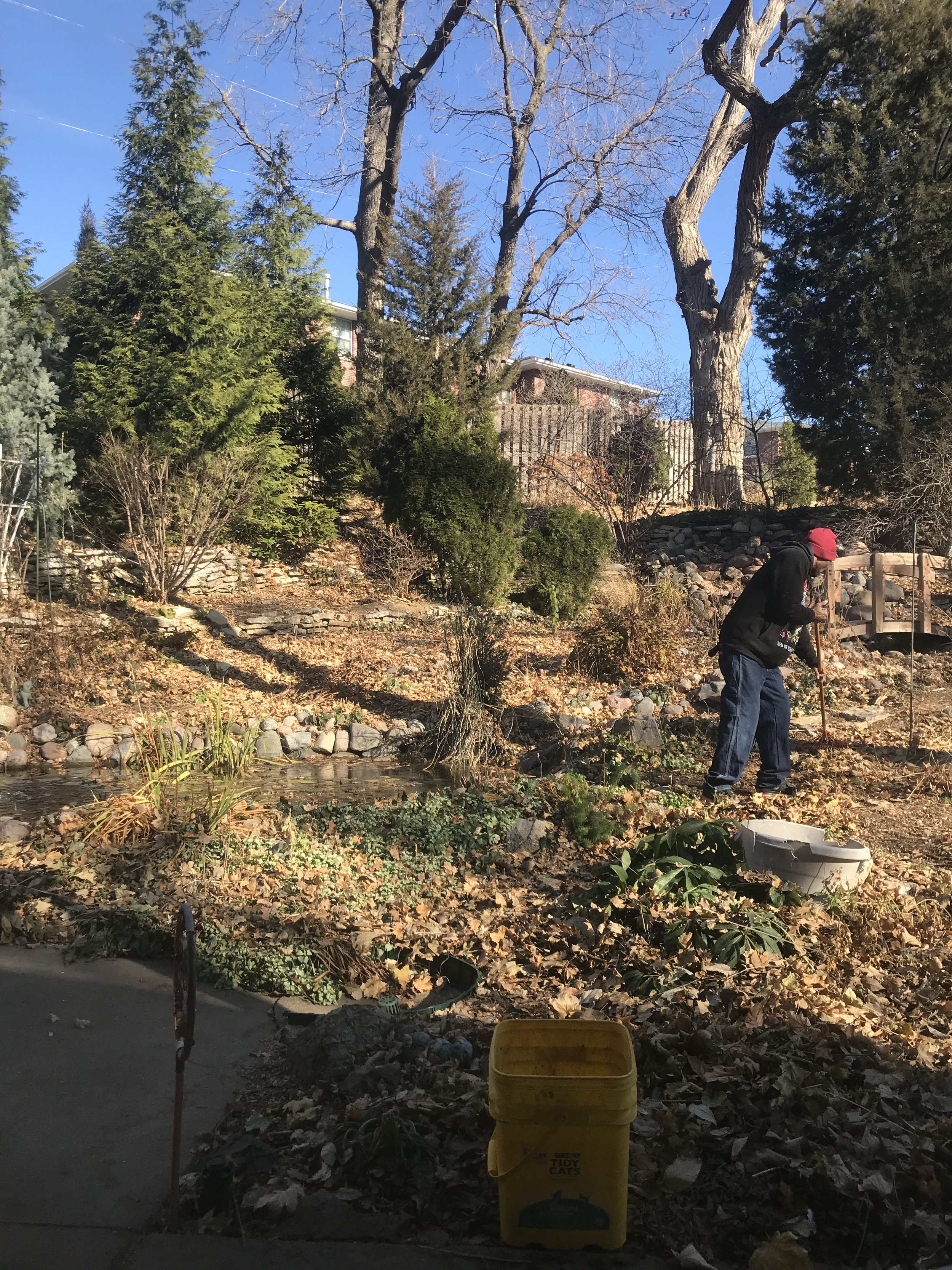 Fall Cleanups