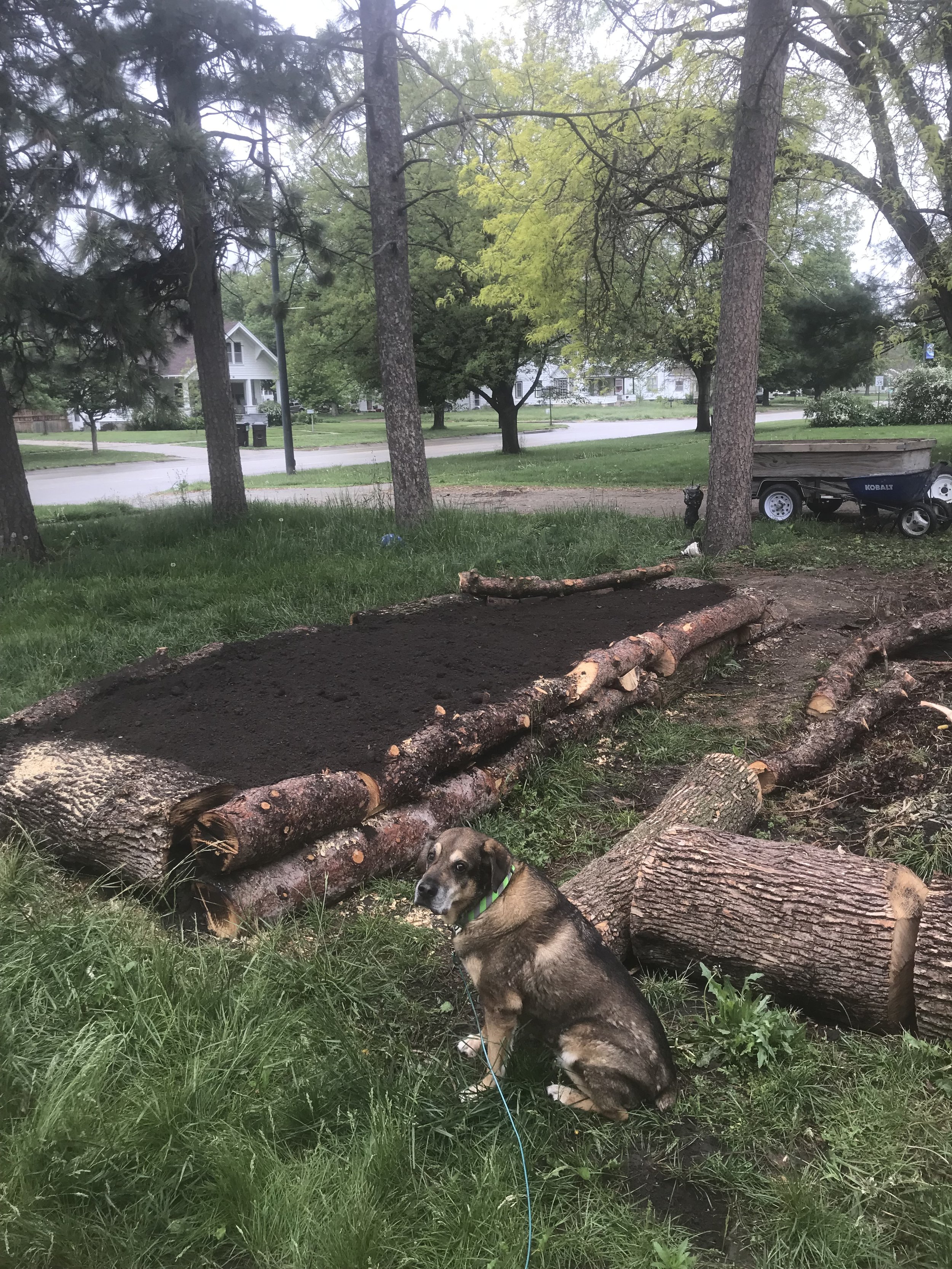 Log Raised Beds
They were anchored in place by rebar to stack and interlock logs, with no rocking.