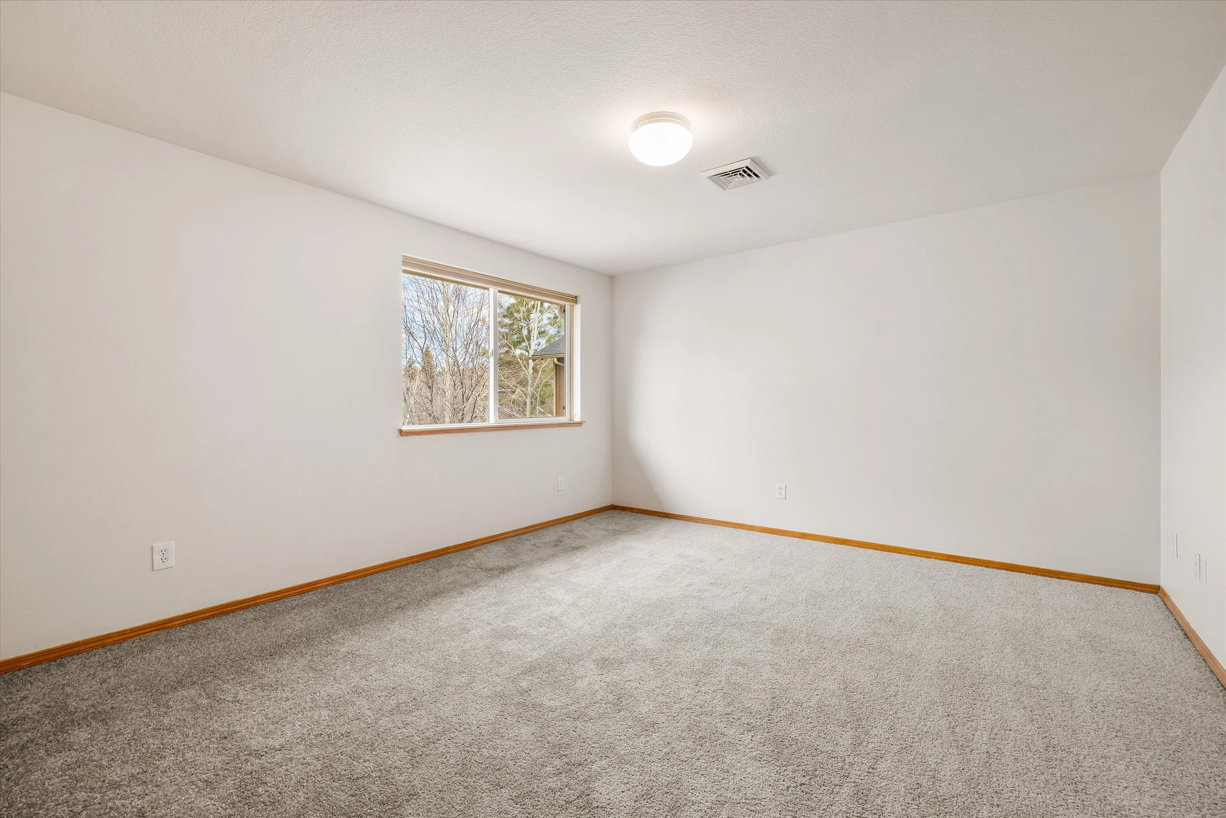 31-20260317 JILL ROSELL -47.jpg