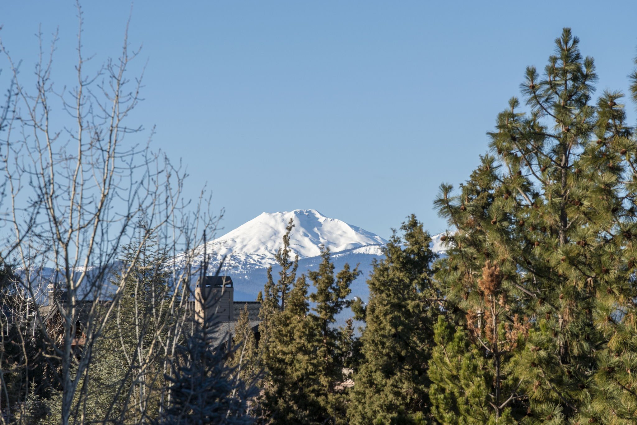 8-web-or-mls-DSC_8820.jpg