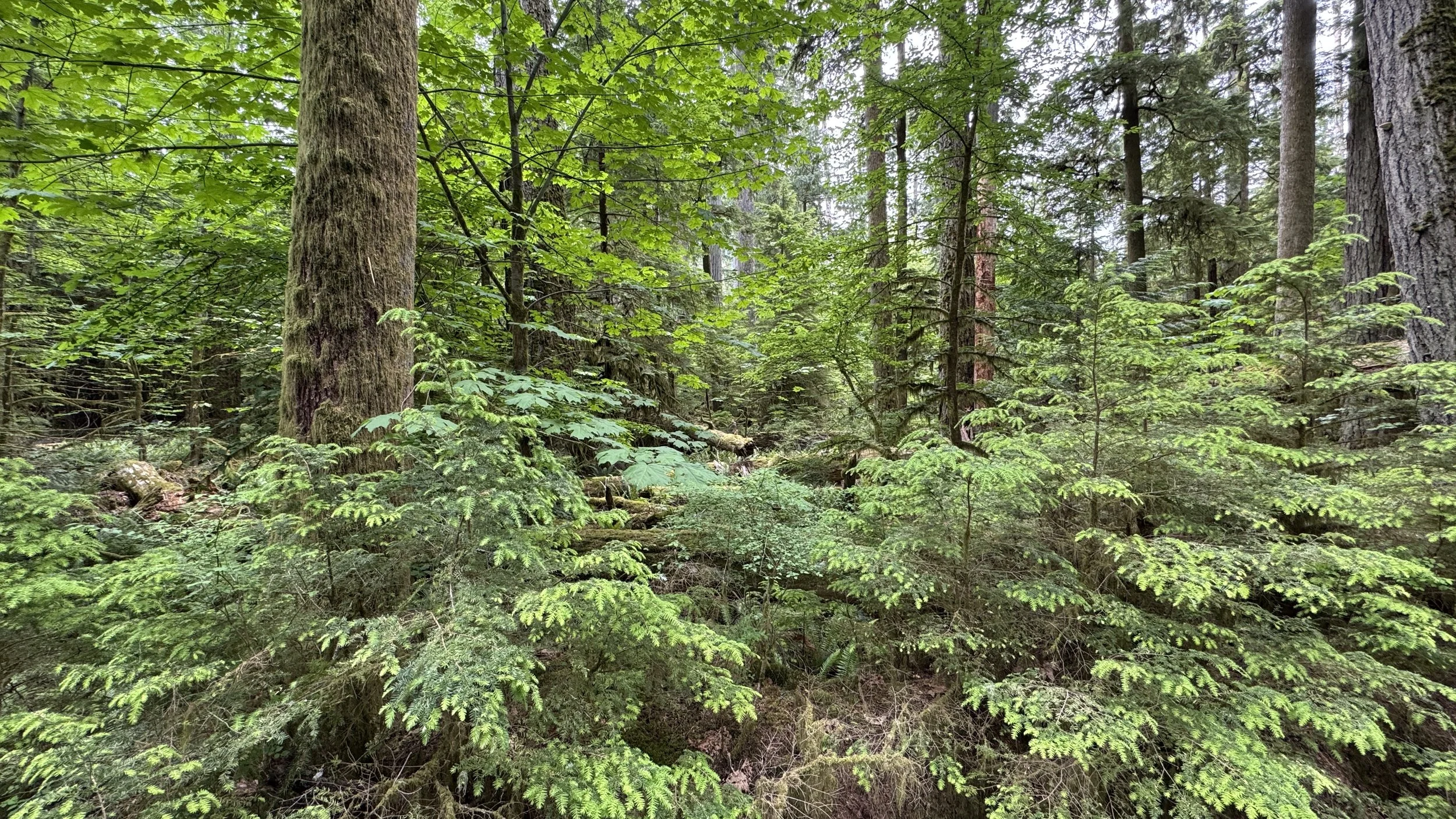 Choose Him Wisely: A Special 2-Hour Talk on safely choosing a romantic male partner. (November 22, 2025)