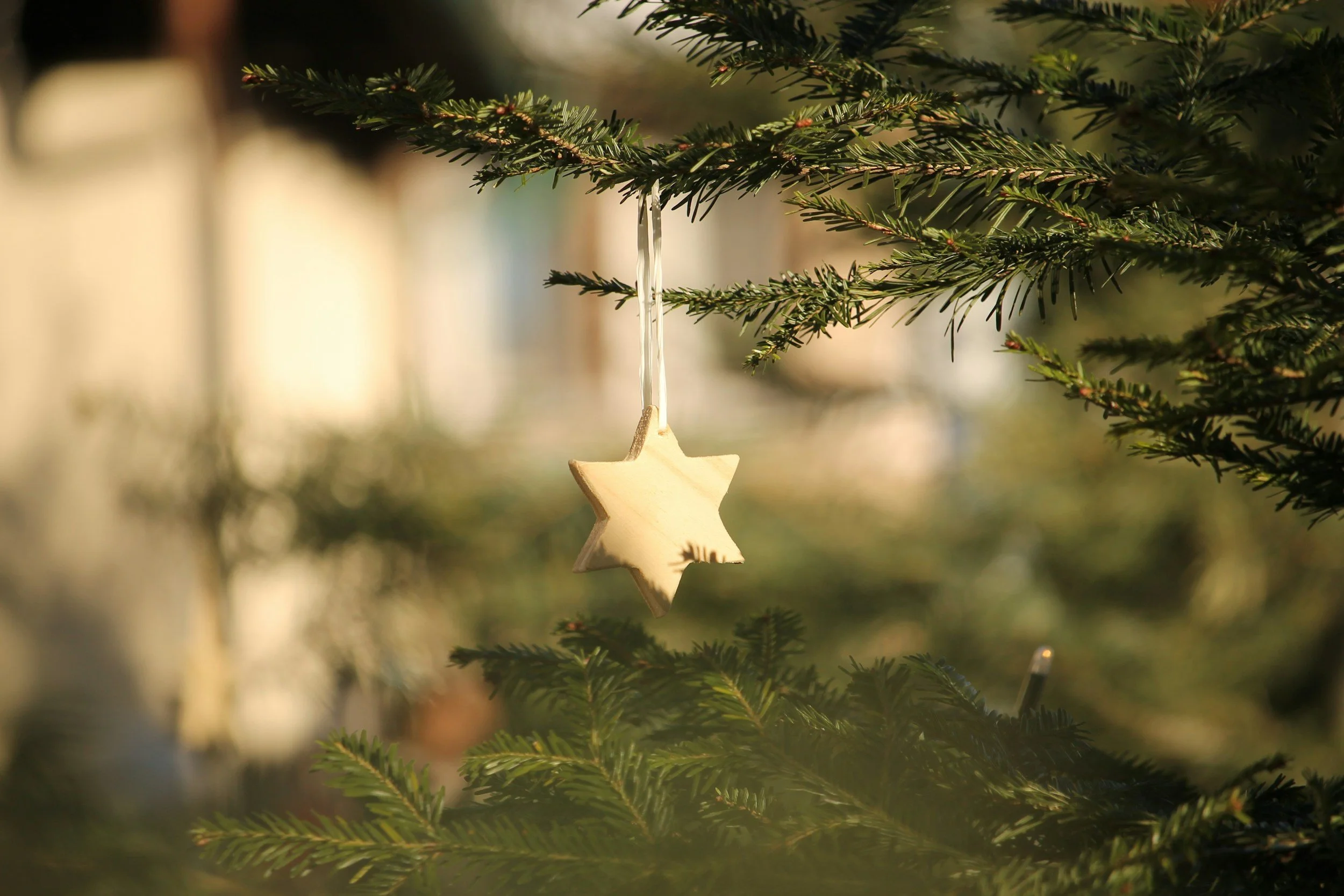 Mental Health and the Holidays — Coping with Stress and Seasonal Affective Disorder