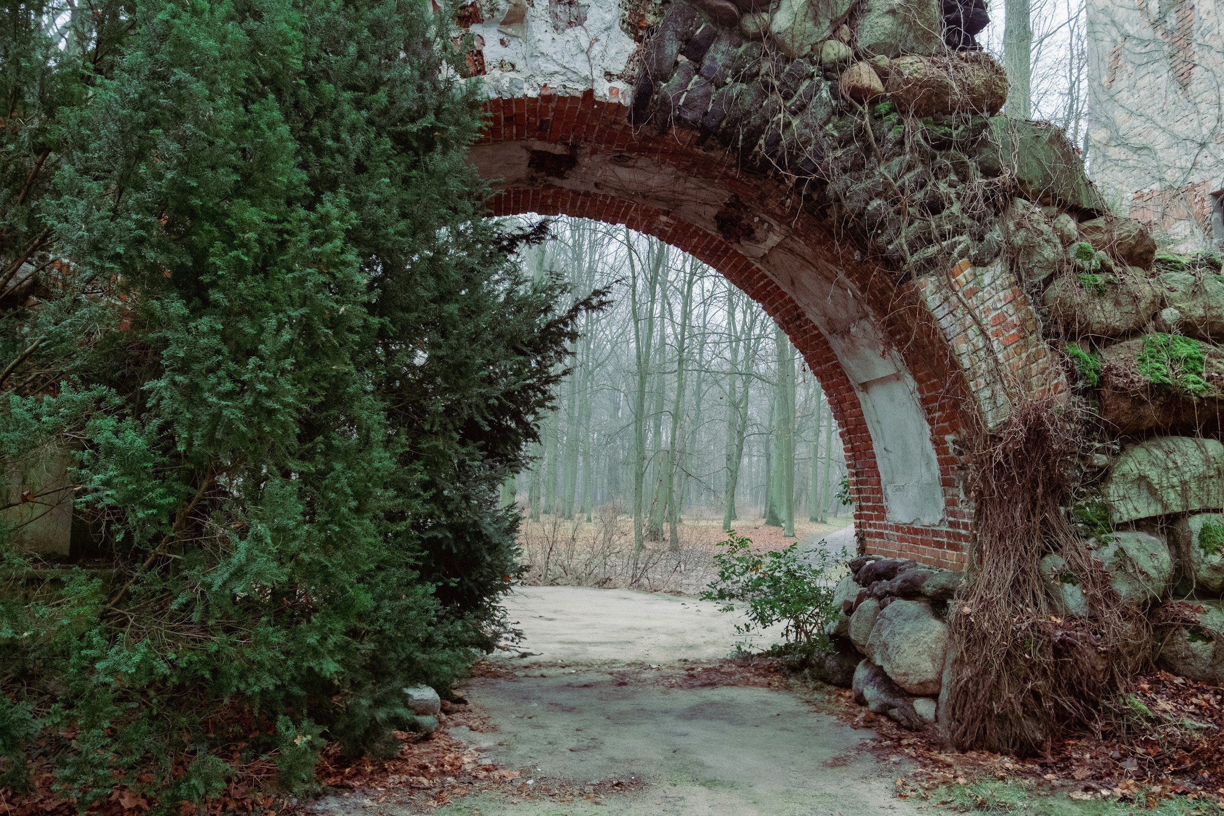 Caregiver Burnout: Supporting Aging Parents Without Losing Yourself