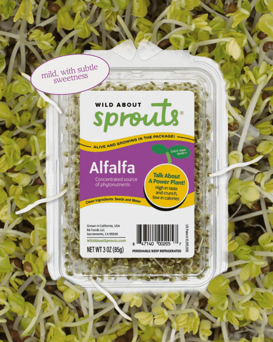 CloseUpSprouts.gif