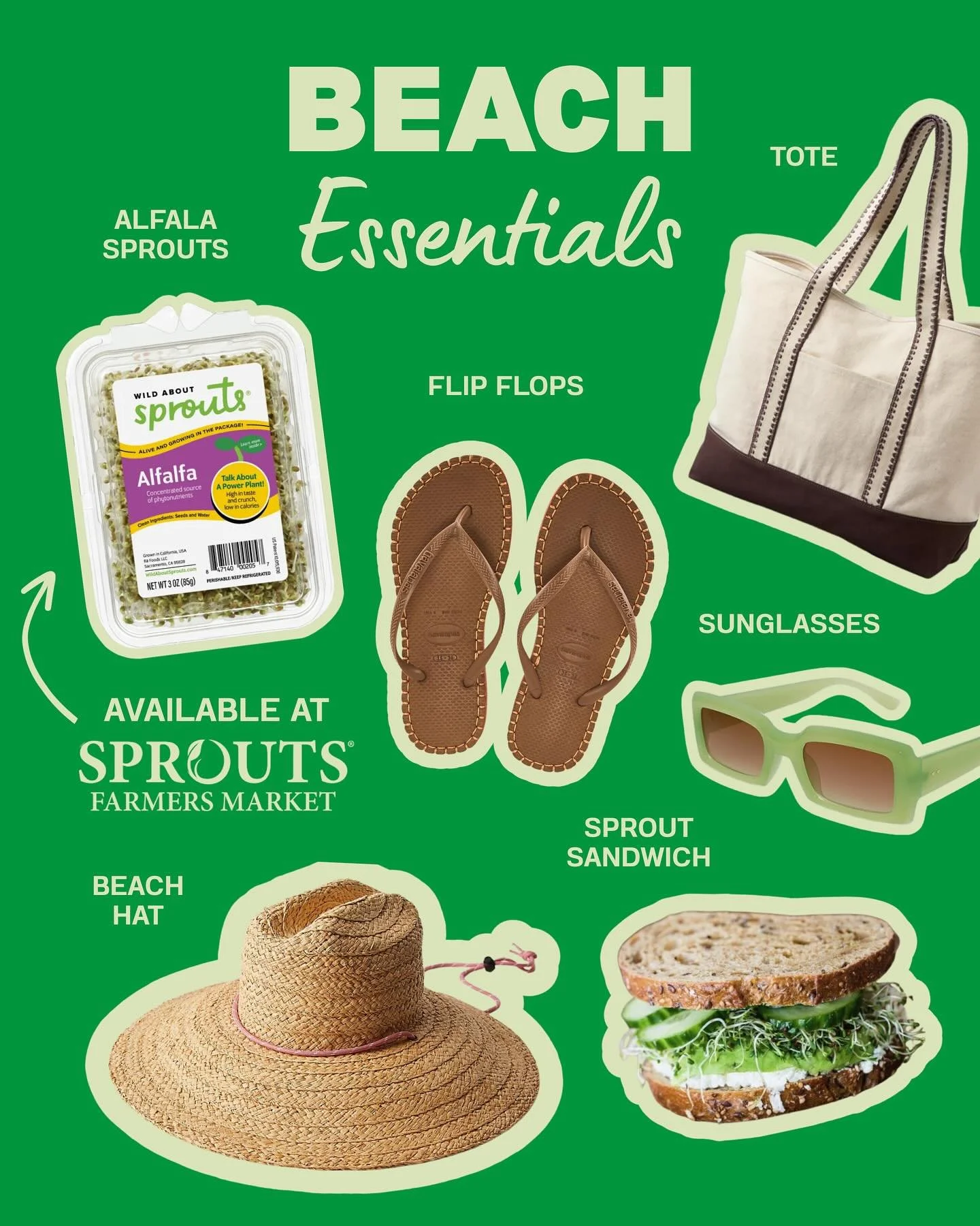 wild_about_sprouts_1756352974_3708880023144289439_5752979203.jpg