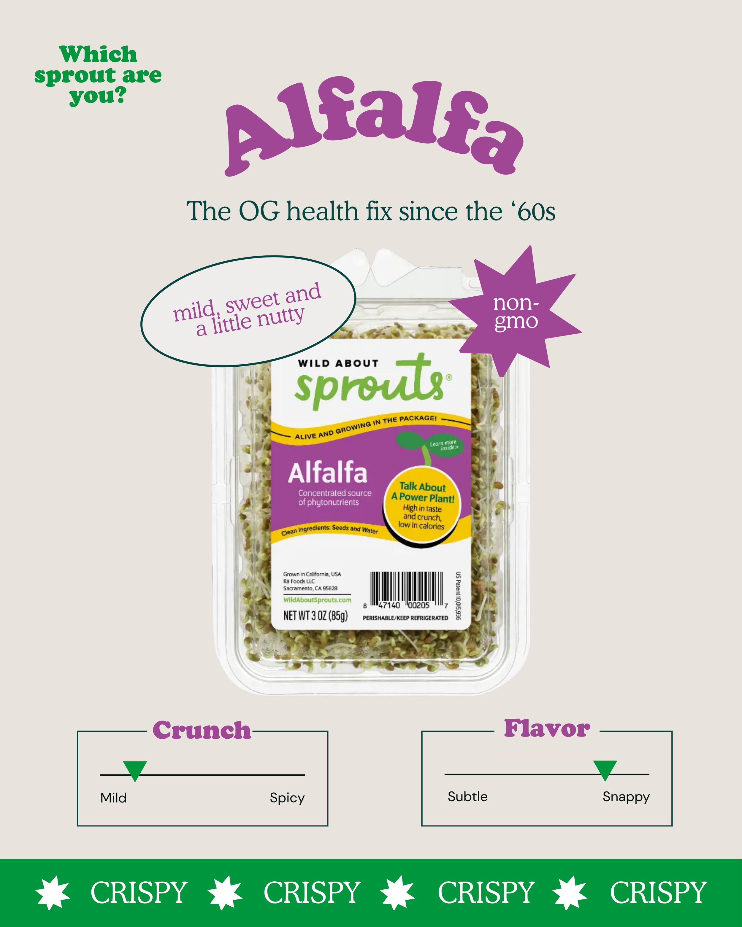Alfalfa.png