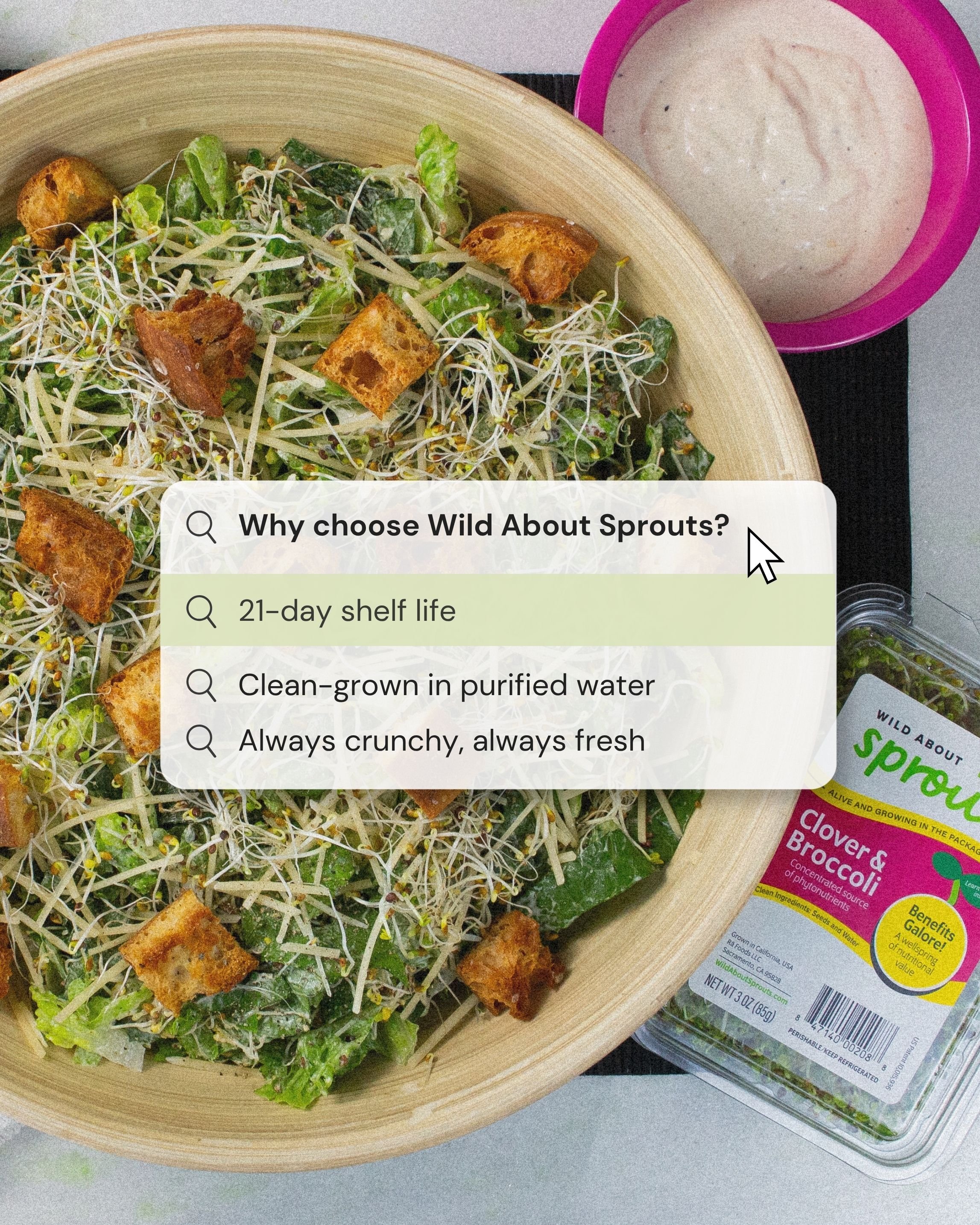 Why choose wild about sprouts?_V1.jpg