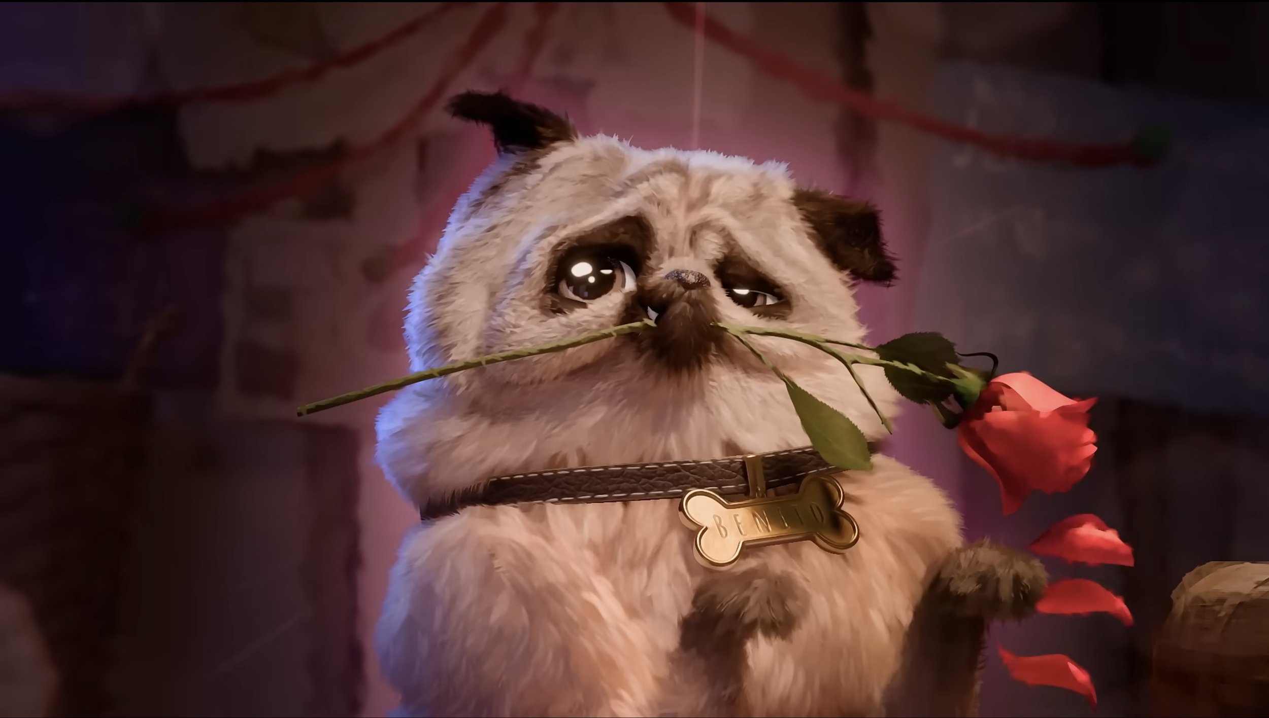 ROMANTIC DOG.jpeg