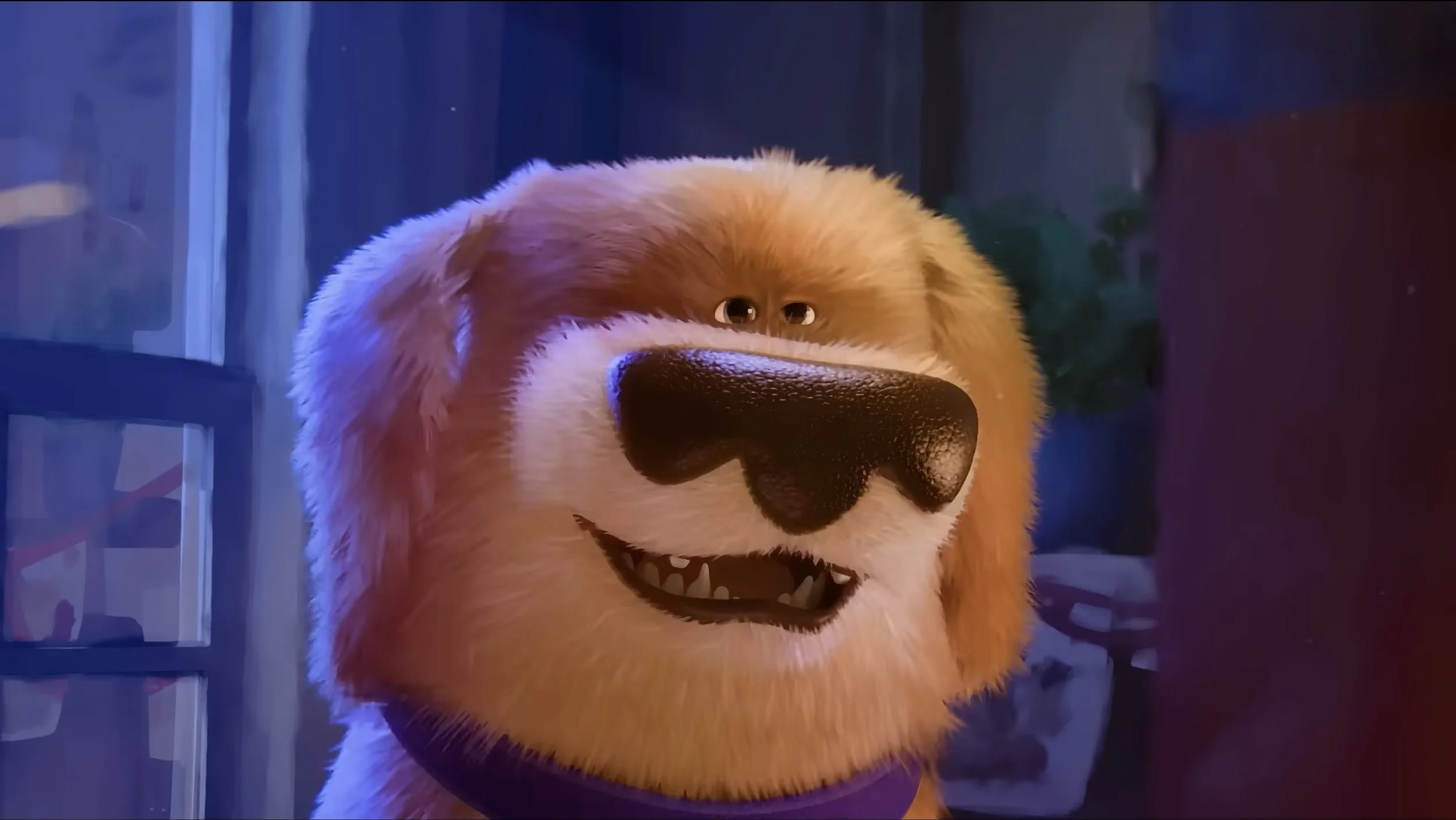 DOG.jpeg