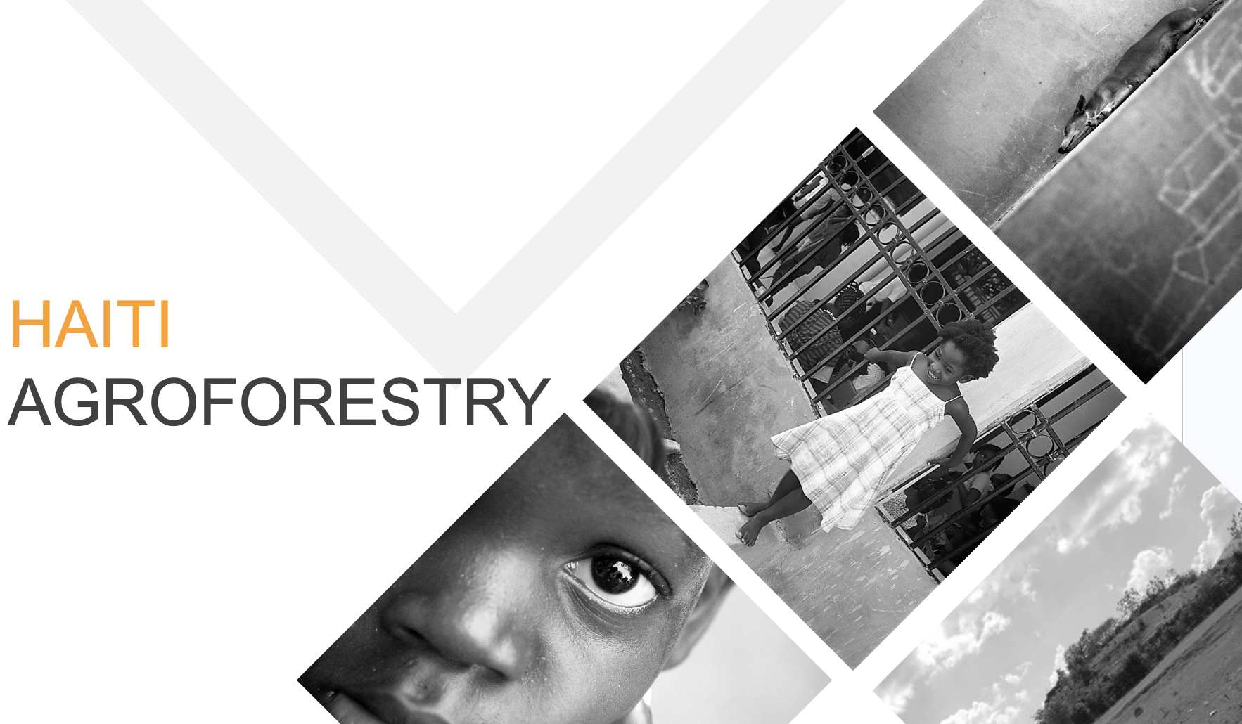 Haitian School Climate Assessment &amp; Food Forest Conceptual Design | 2019-2020