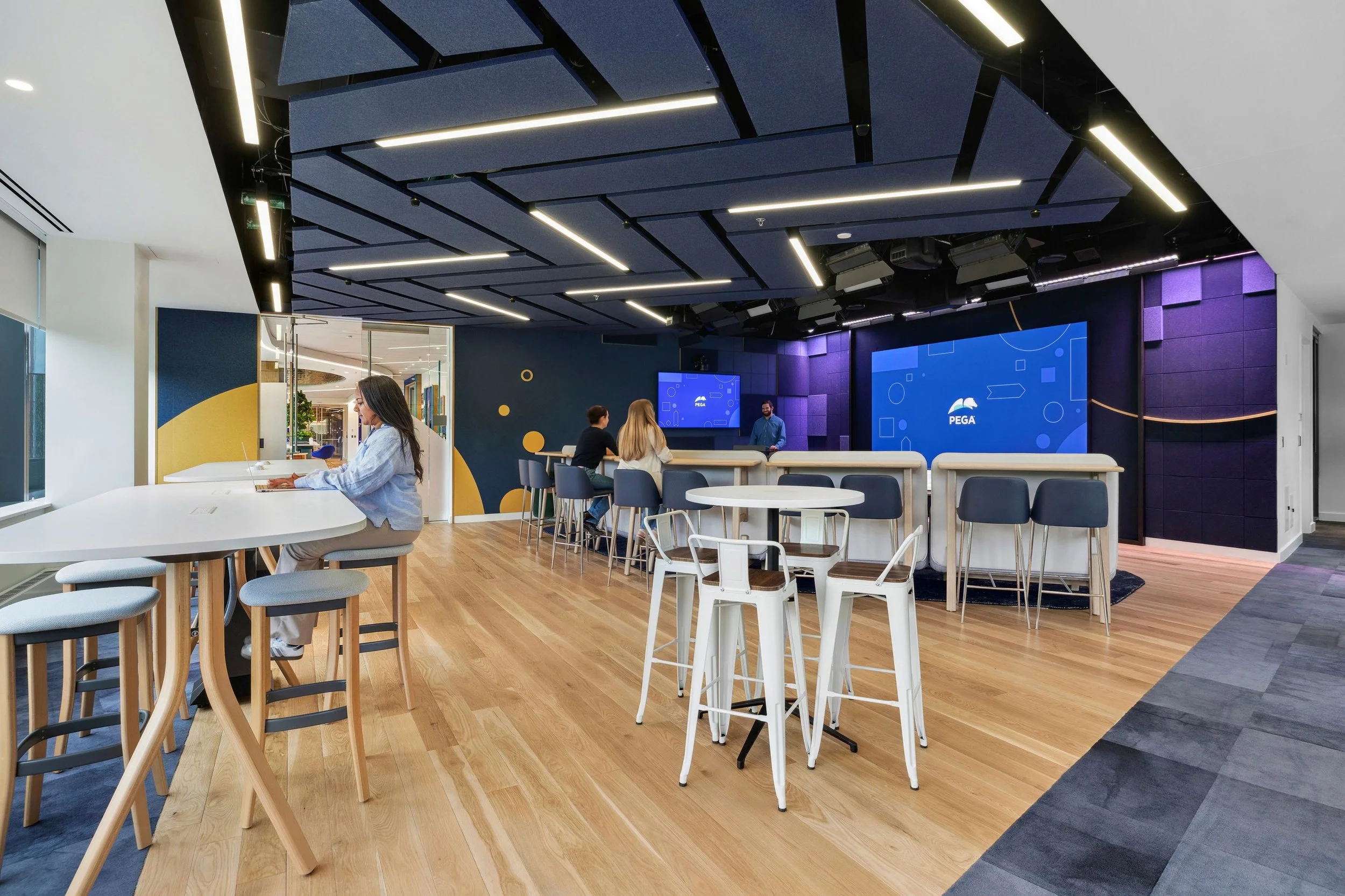 Ega System Pegasystems - Executive Briefing Center — Visnick & Caulfield Associates