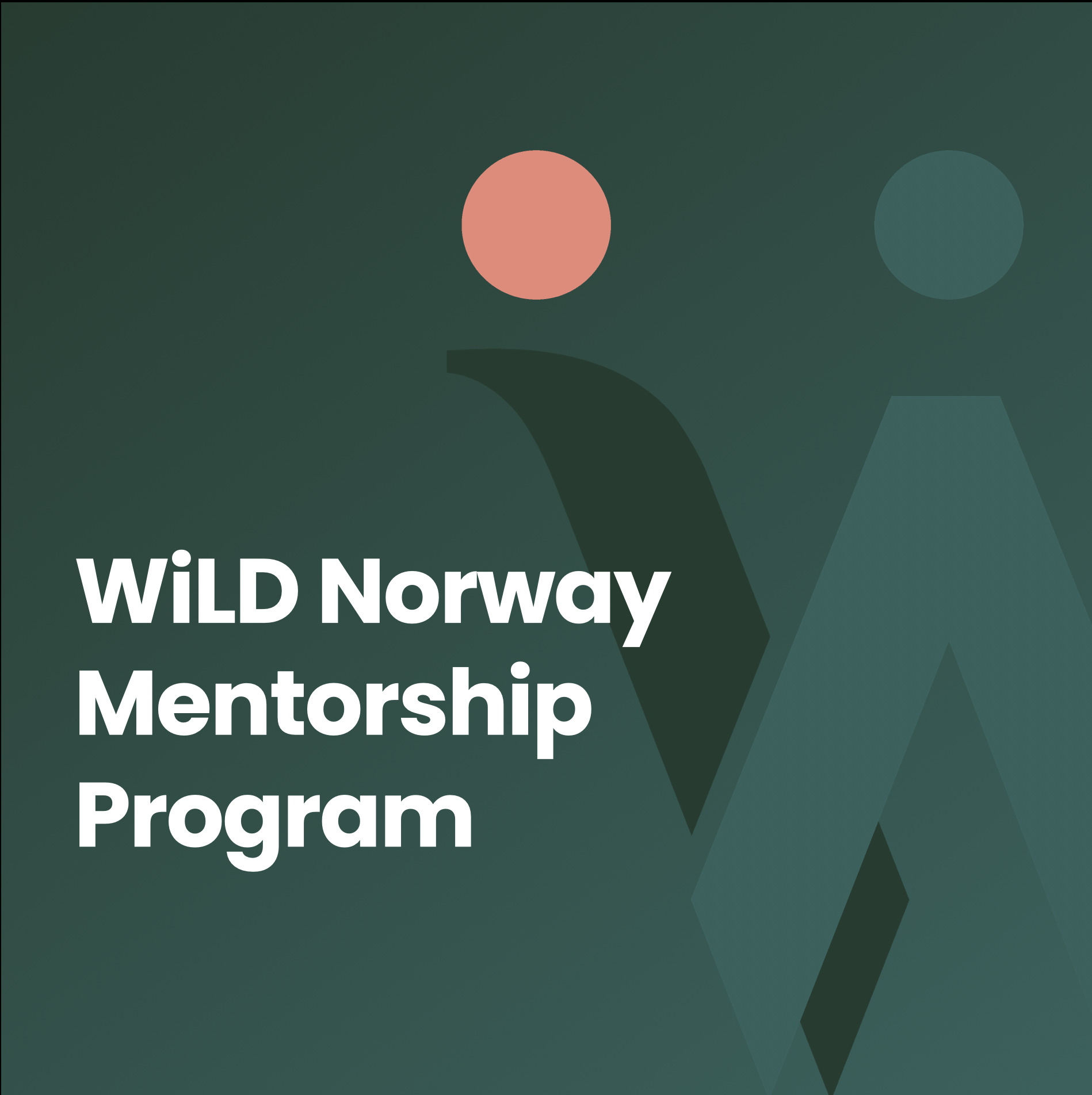 WiLD Norway Mentorship Program Mid-Year Check-In