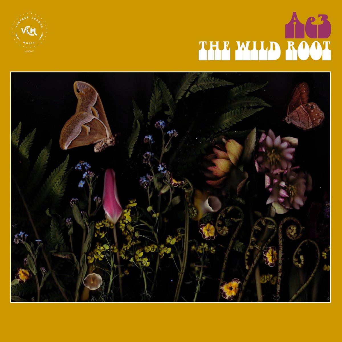Alan Evans Trio The Wild Root.jpeg