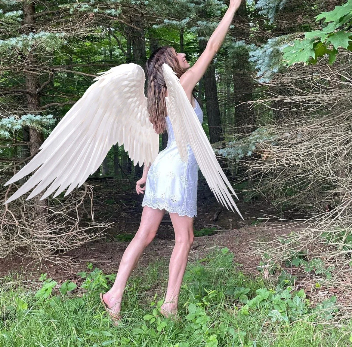 ARIANNA wings main image 1