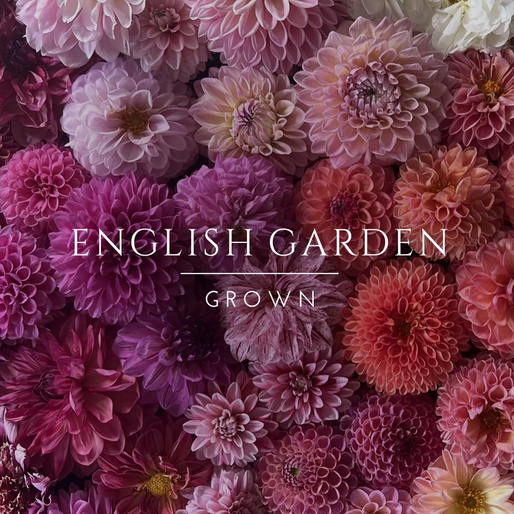 English Garden Grown